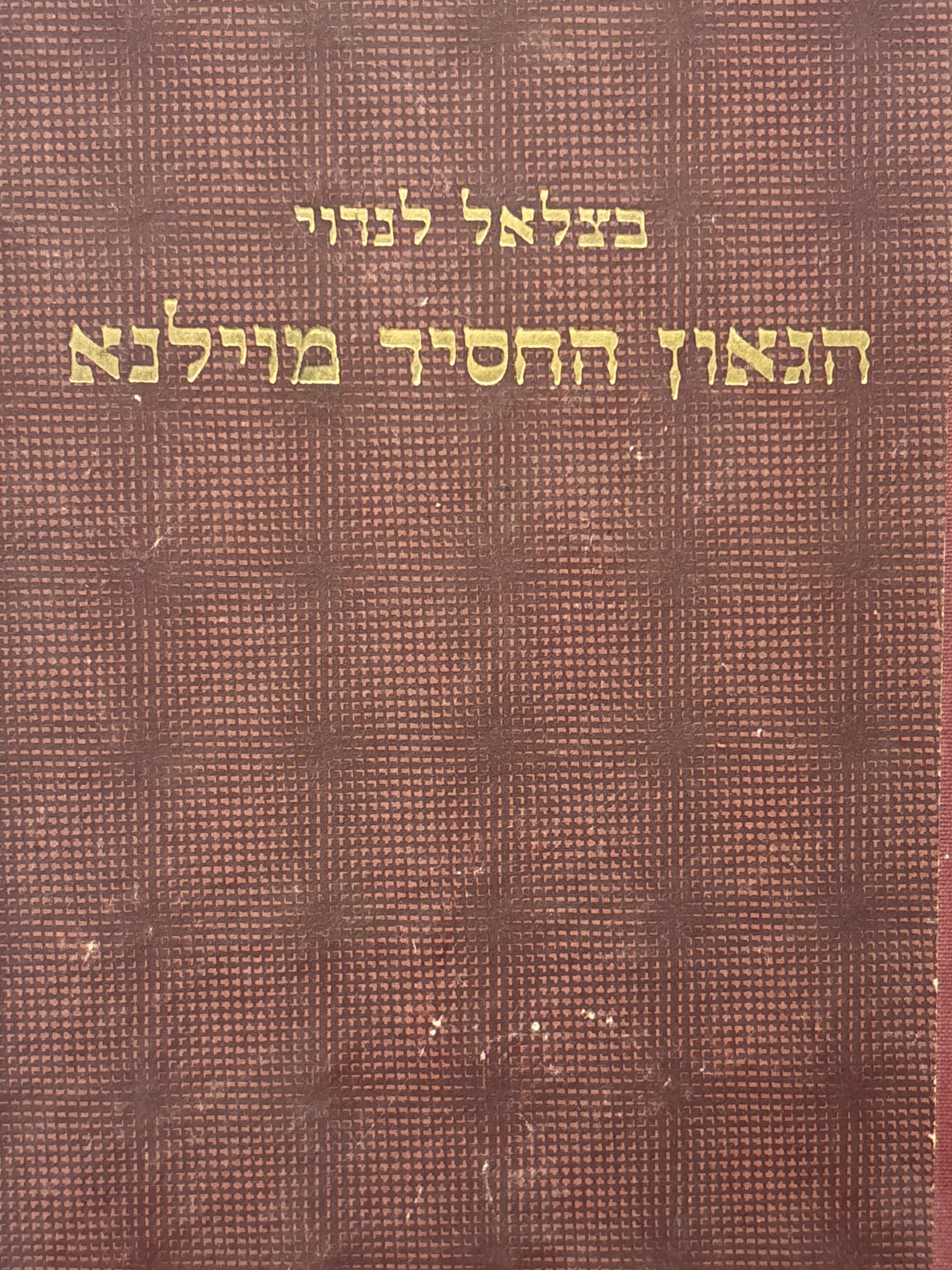 הגאון החסיד מוילנא