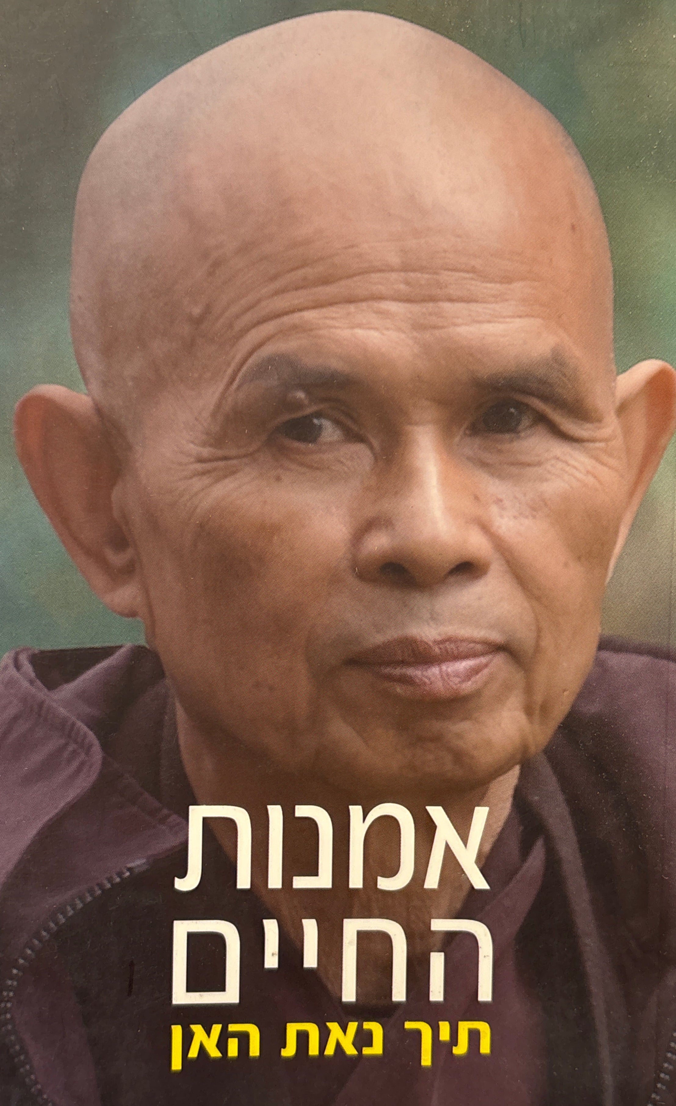 אמנות החיים