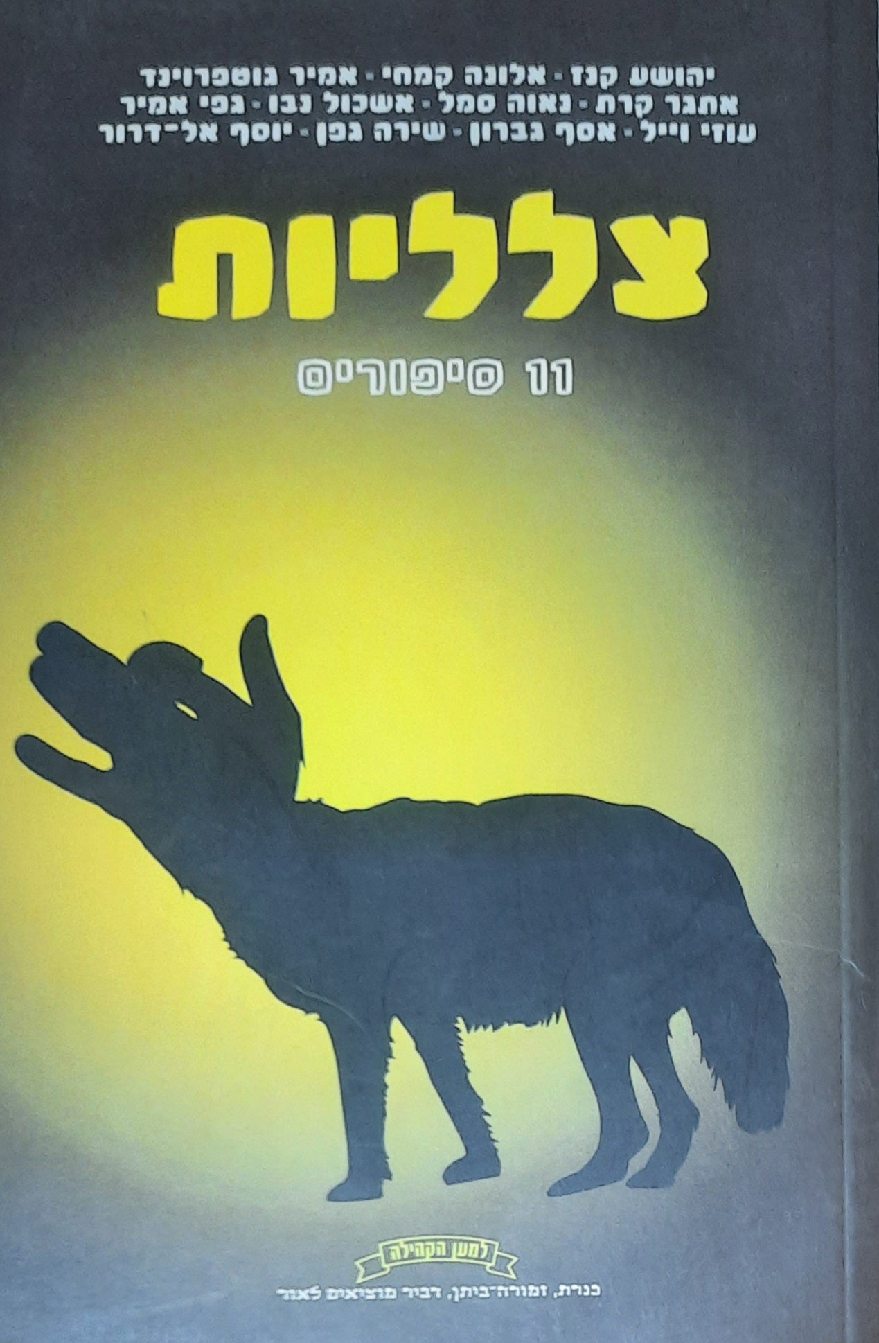 צלליות / 11 סיפורים