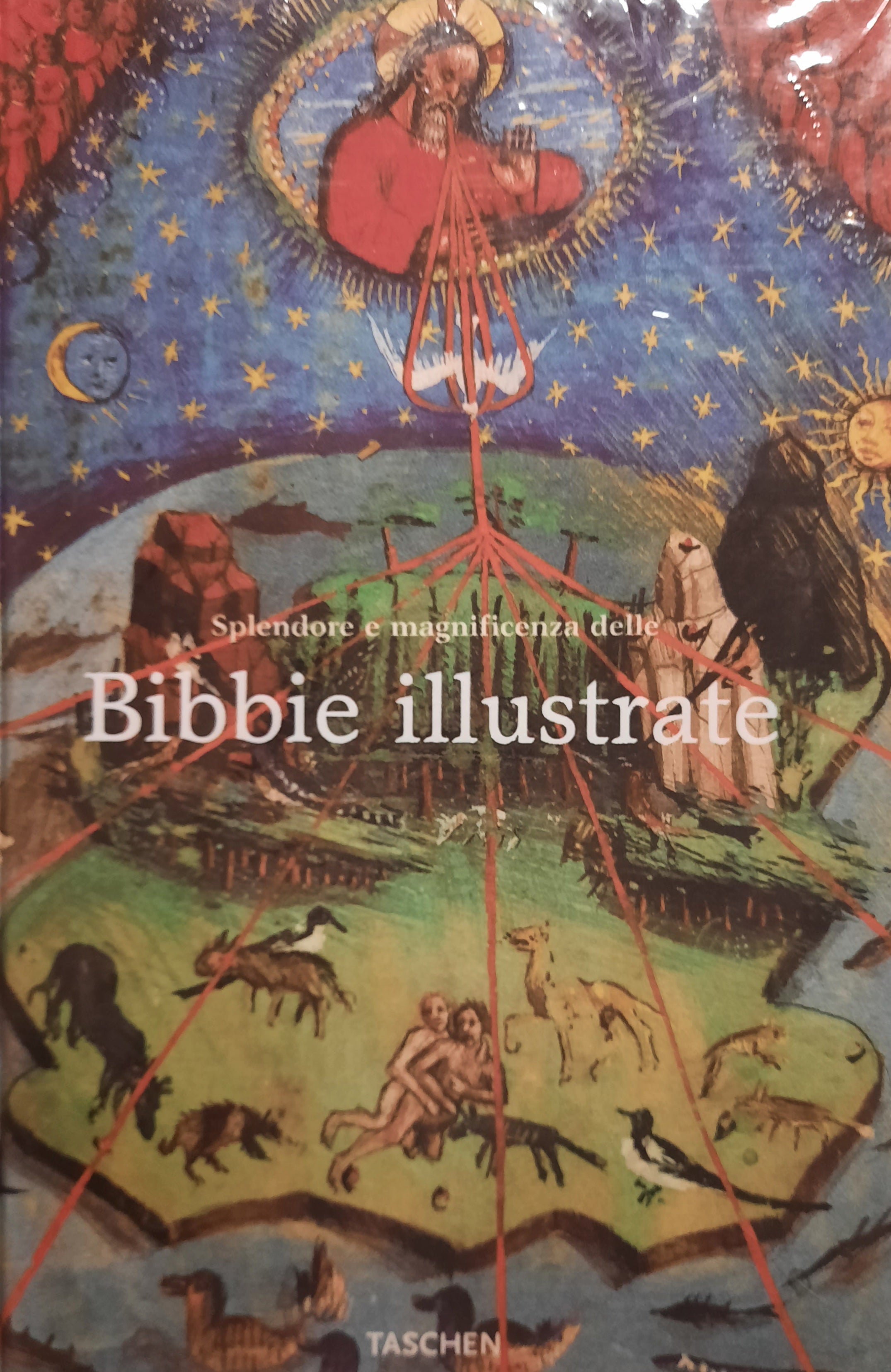 Splendore e magnificenza delle Bibbie illustrate