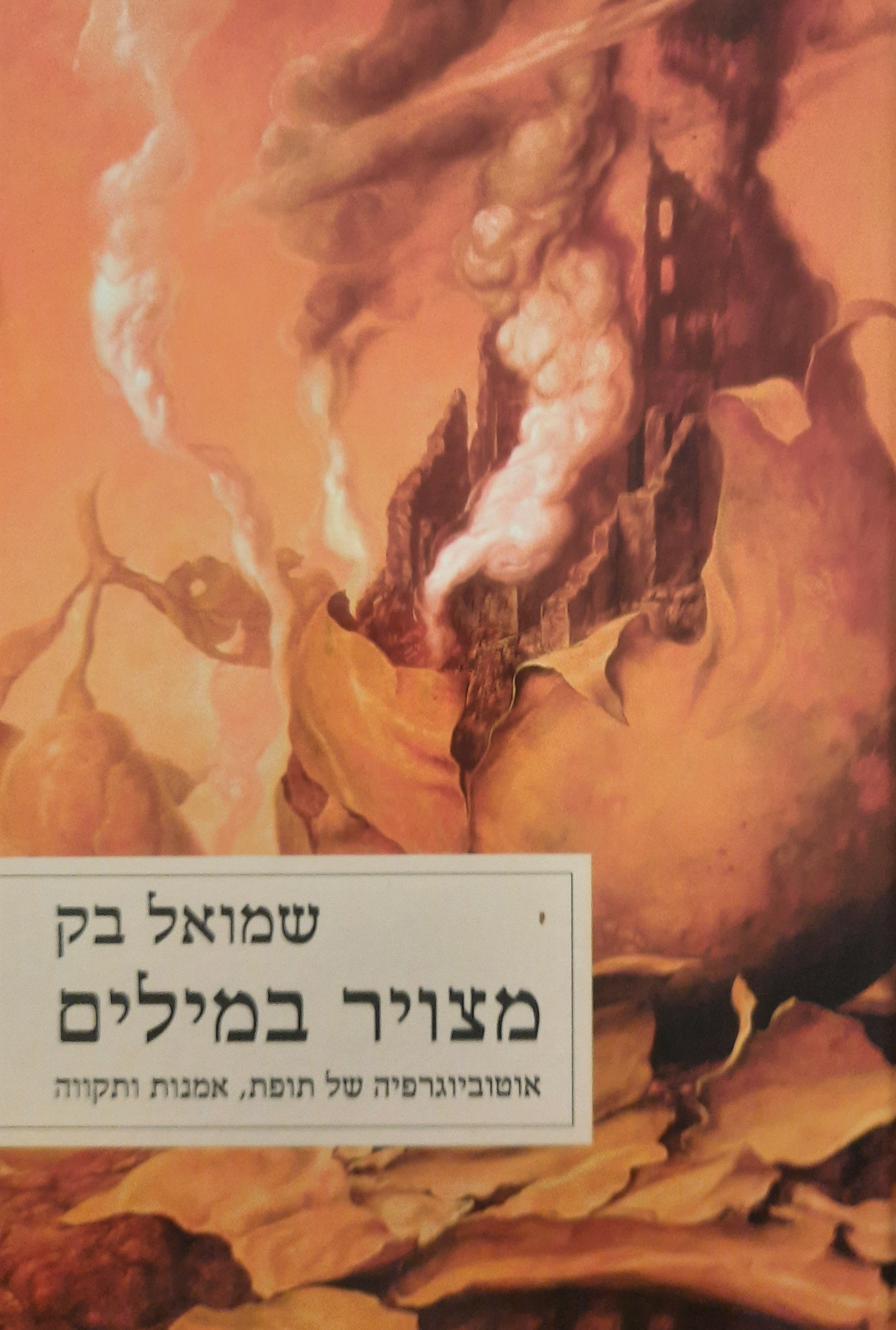 מצויר במילים / אוטוביוגרפיה של תופת, אמנות ותקווה