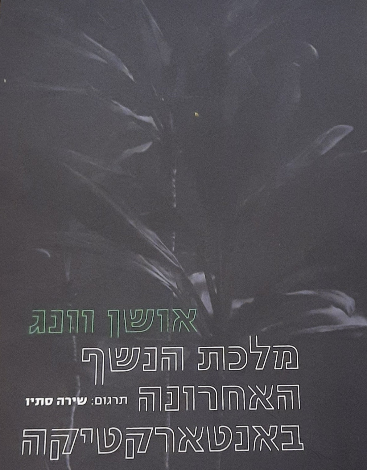 מלכת הנשף האחרונה באנטארקטיקה