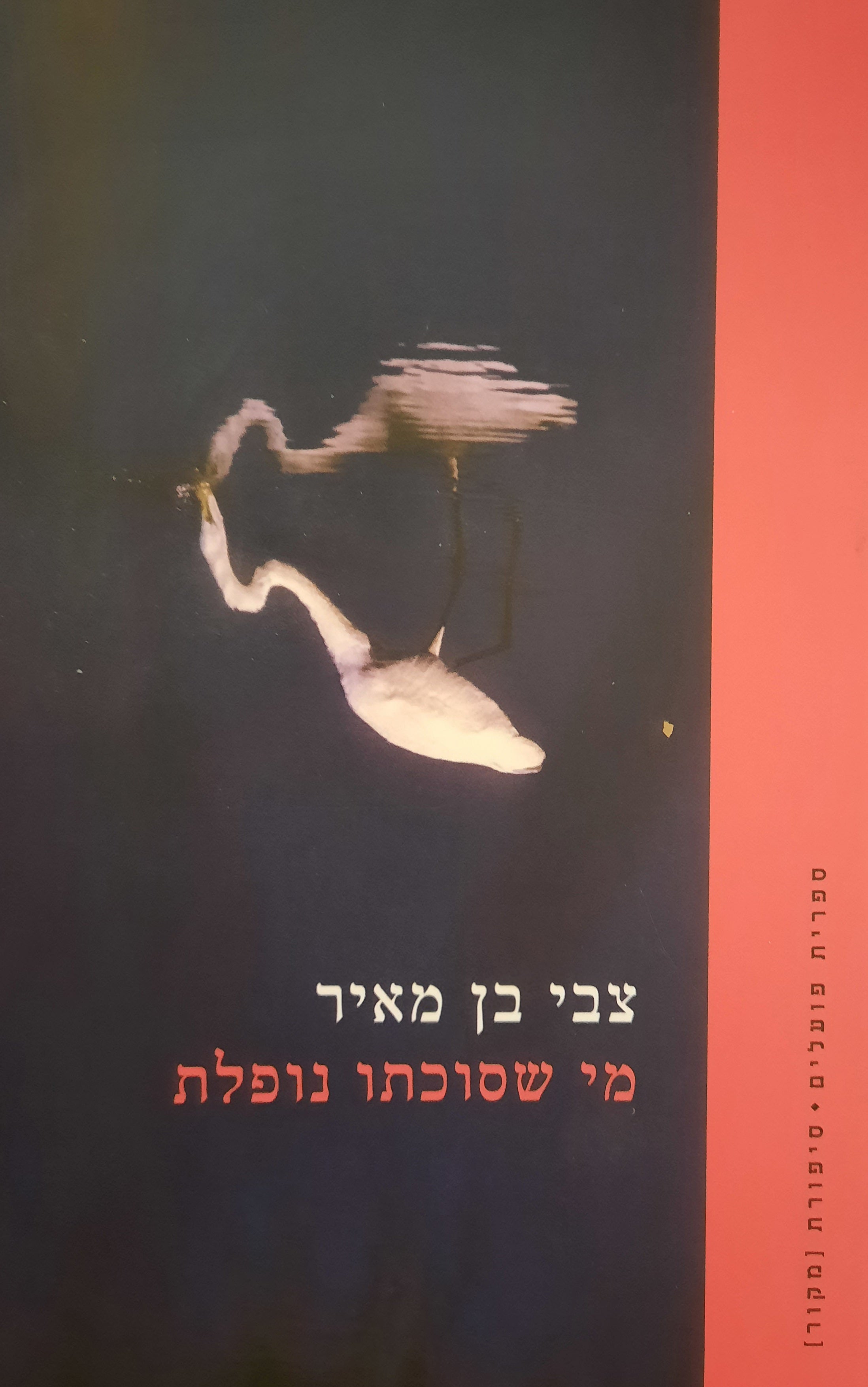 מי שסוכתו נופלת