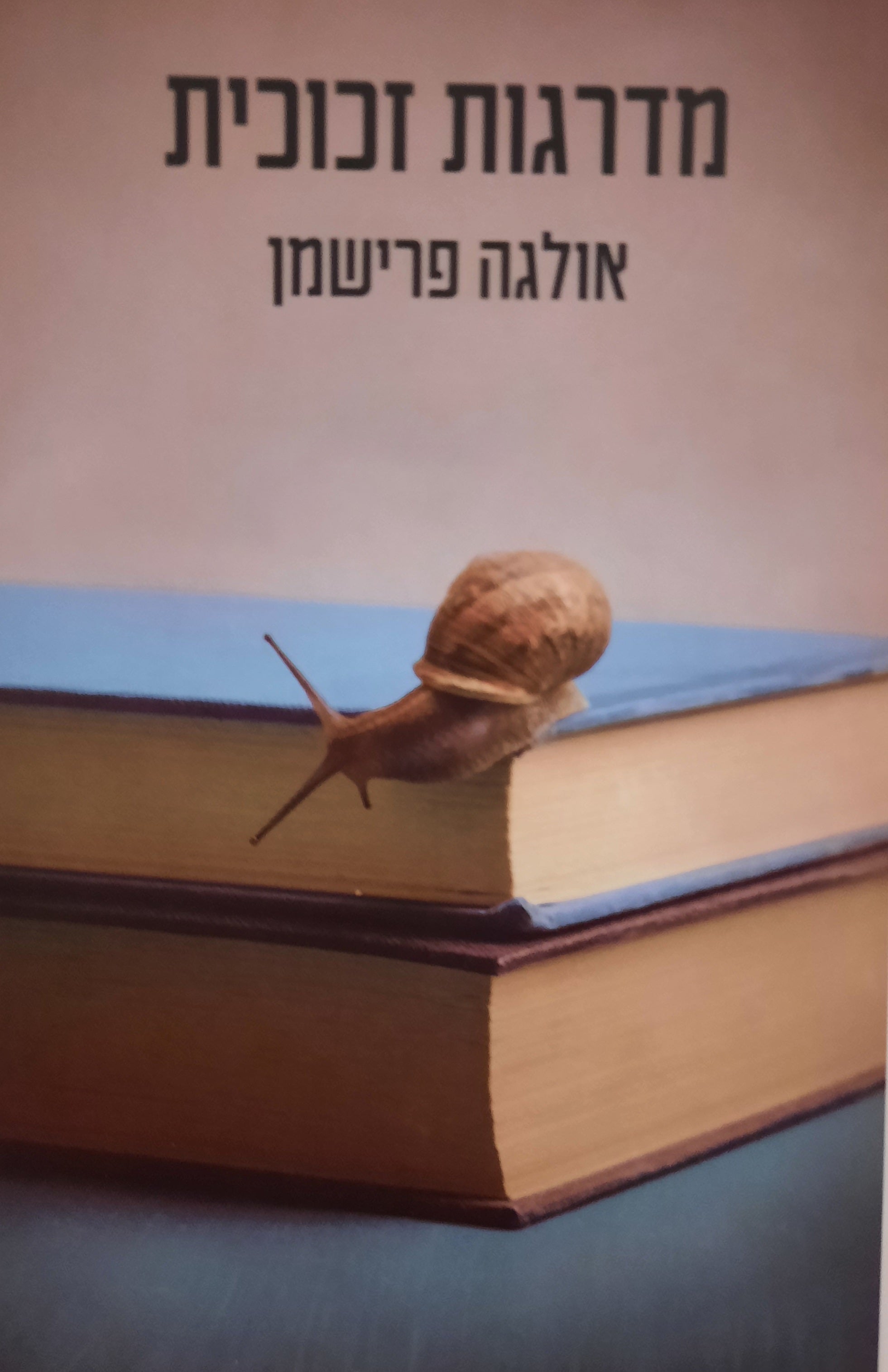מדרגות זכוכית