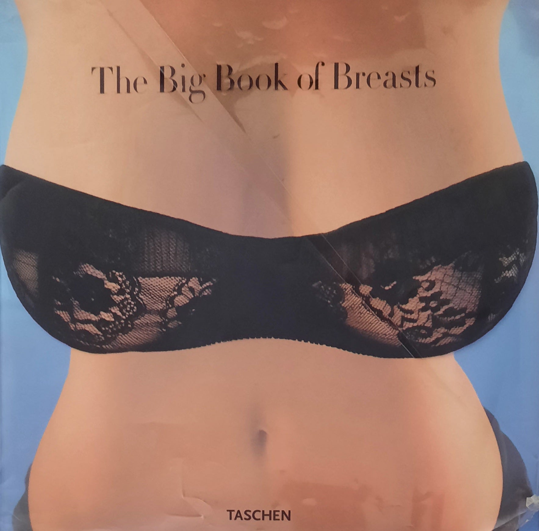The Big Book of Breasts / The Golden Age of Natural Curves