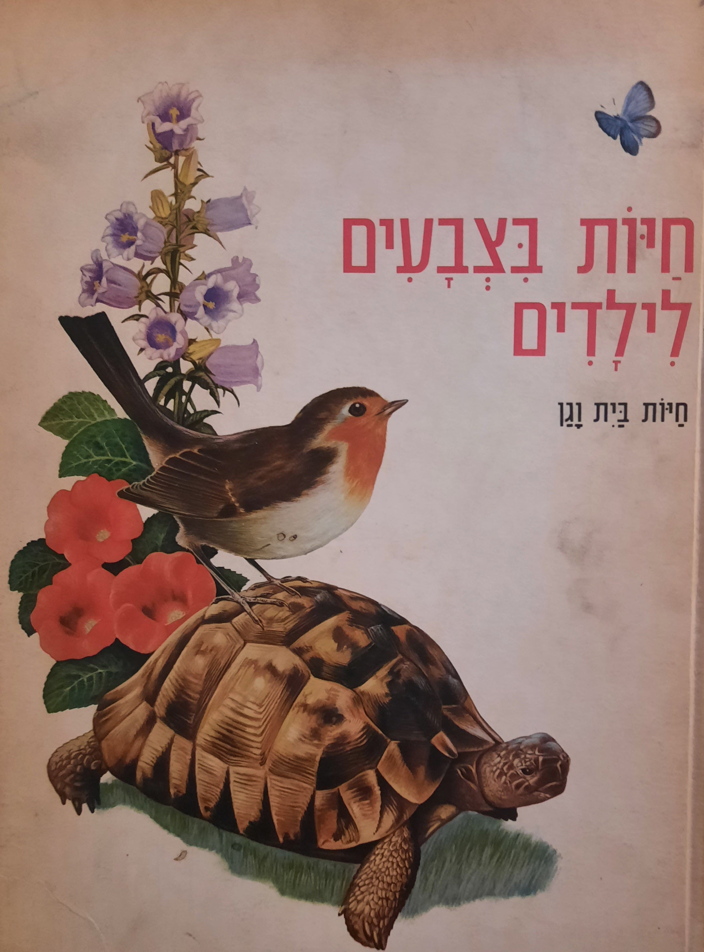 חיות בצבעים לילדים / חיות בית וגן