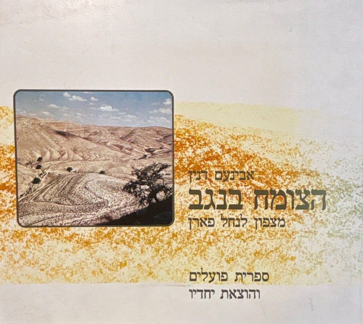 הצומח בנגב / מצפון לנחל פארן