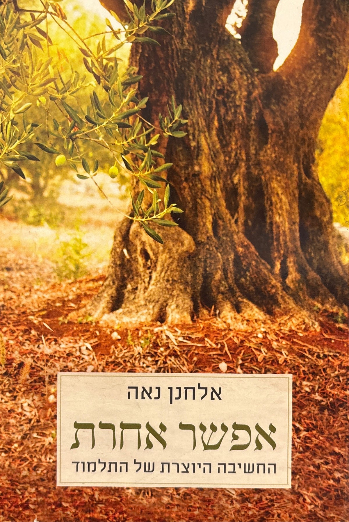 אפשר אחרת / החשיבה היוצרת של התלמוד