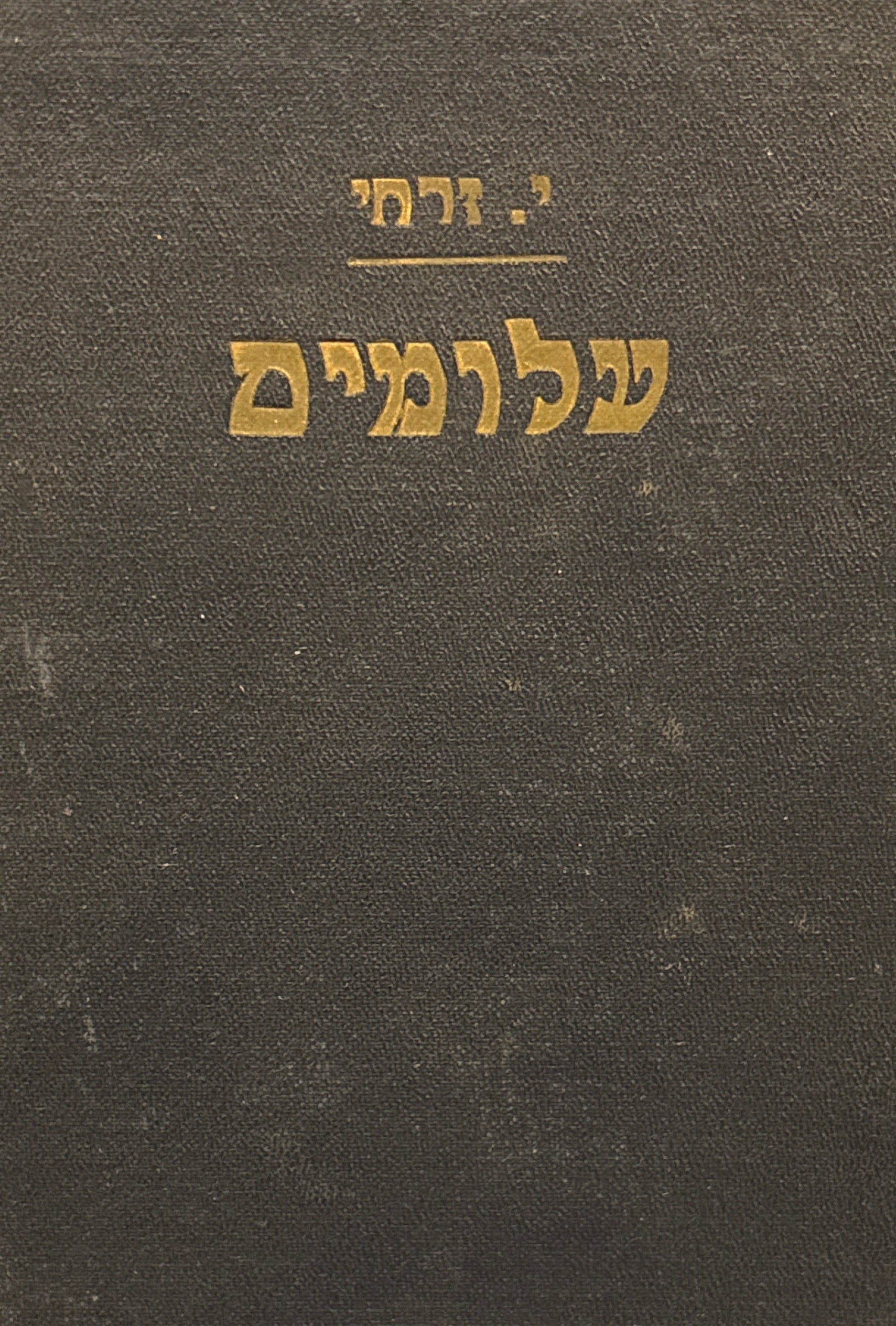 עלומים / רומן