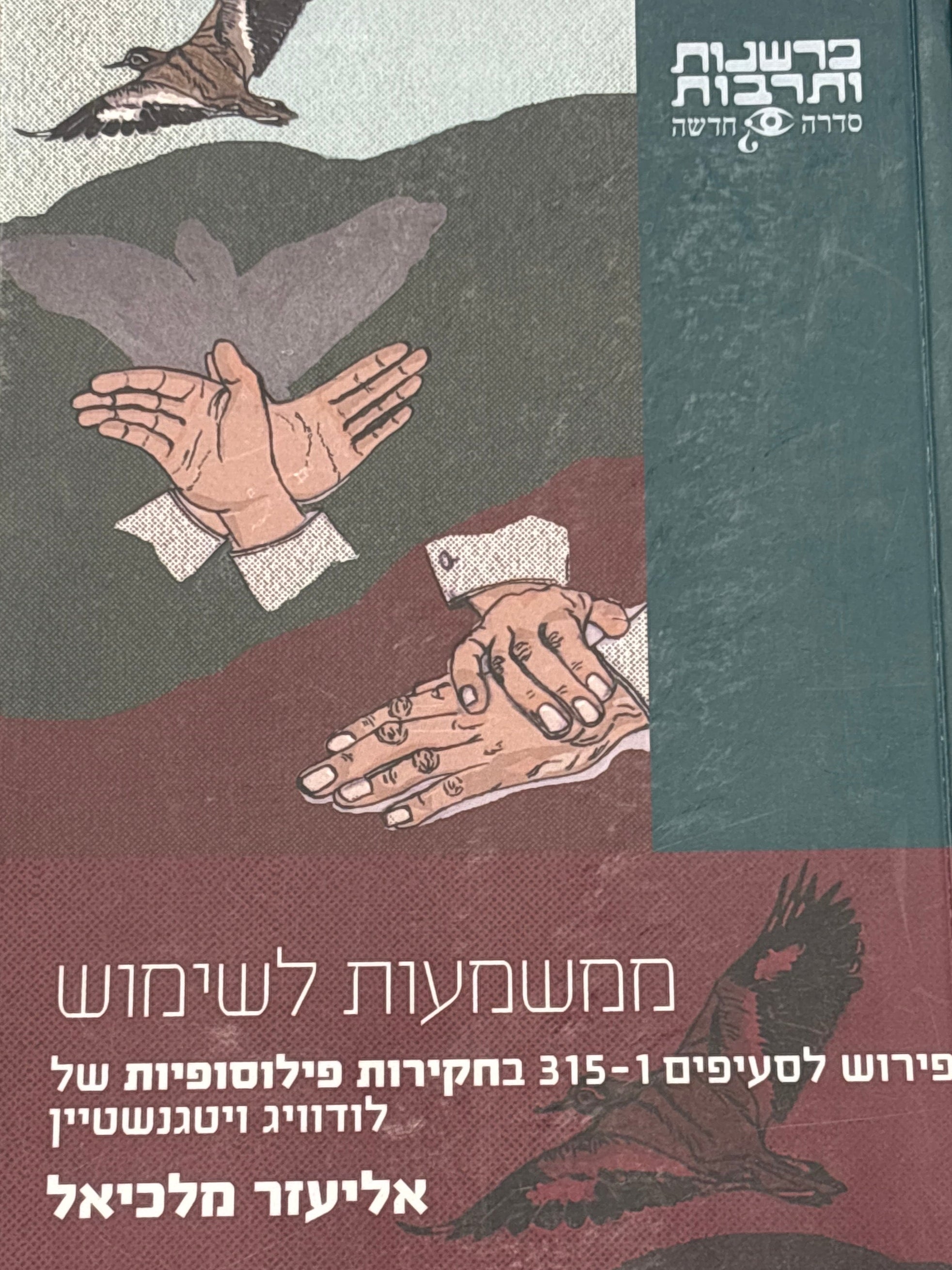 ממשמעות לשימוש / פירוש לסעיפים 1-315 בחקירות פילוסופיות של לודוויג ויטגנשטיין
