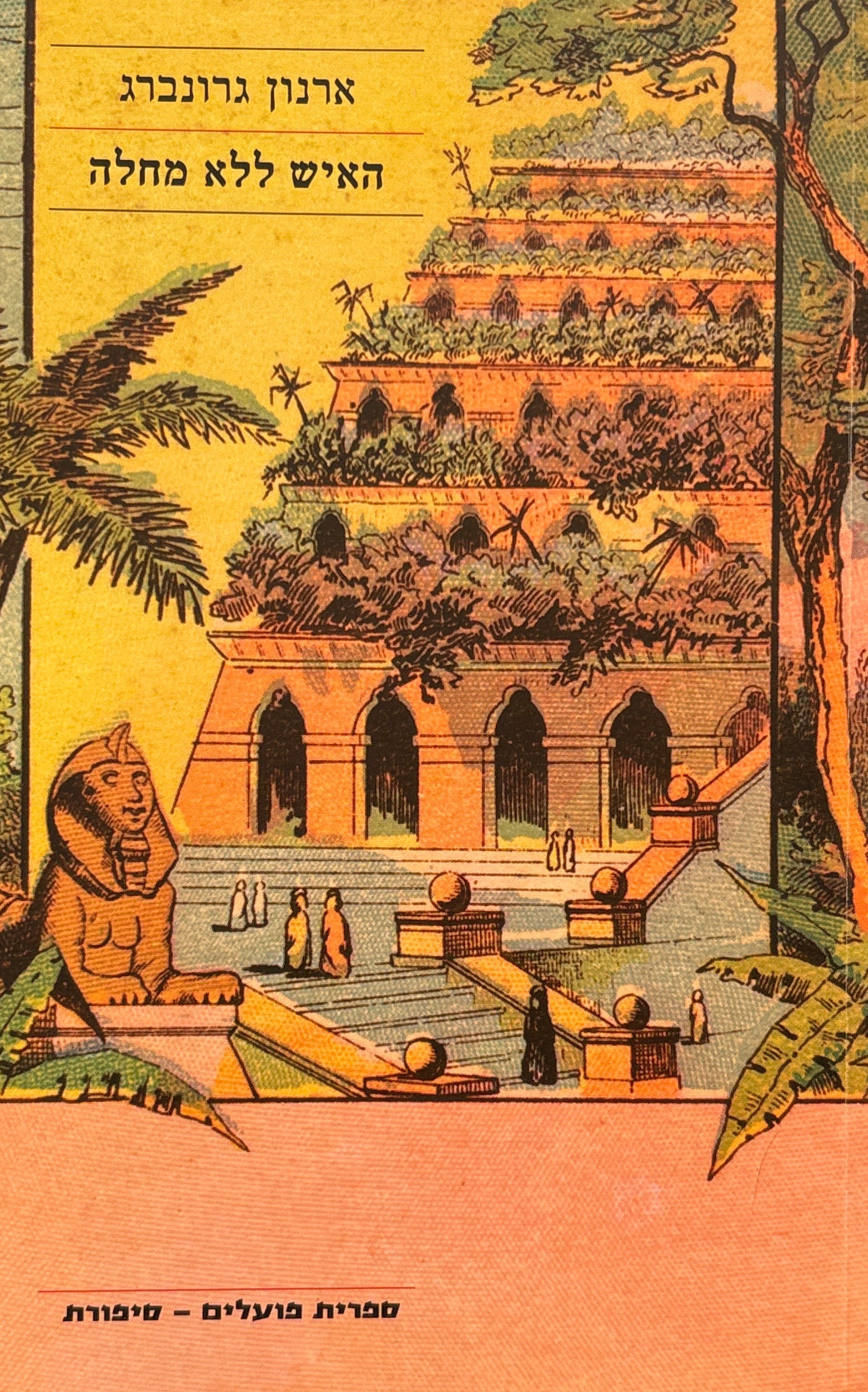 האיש ללא מחלה / רומן