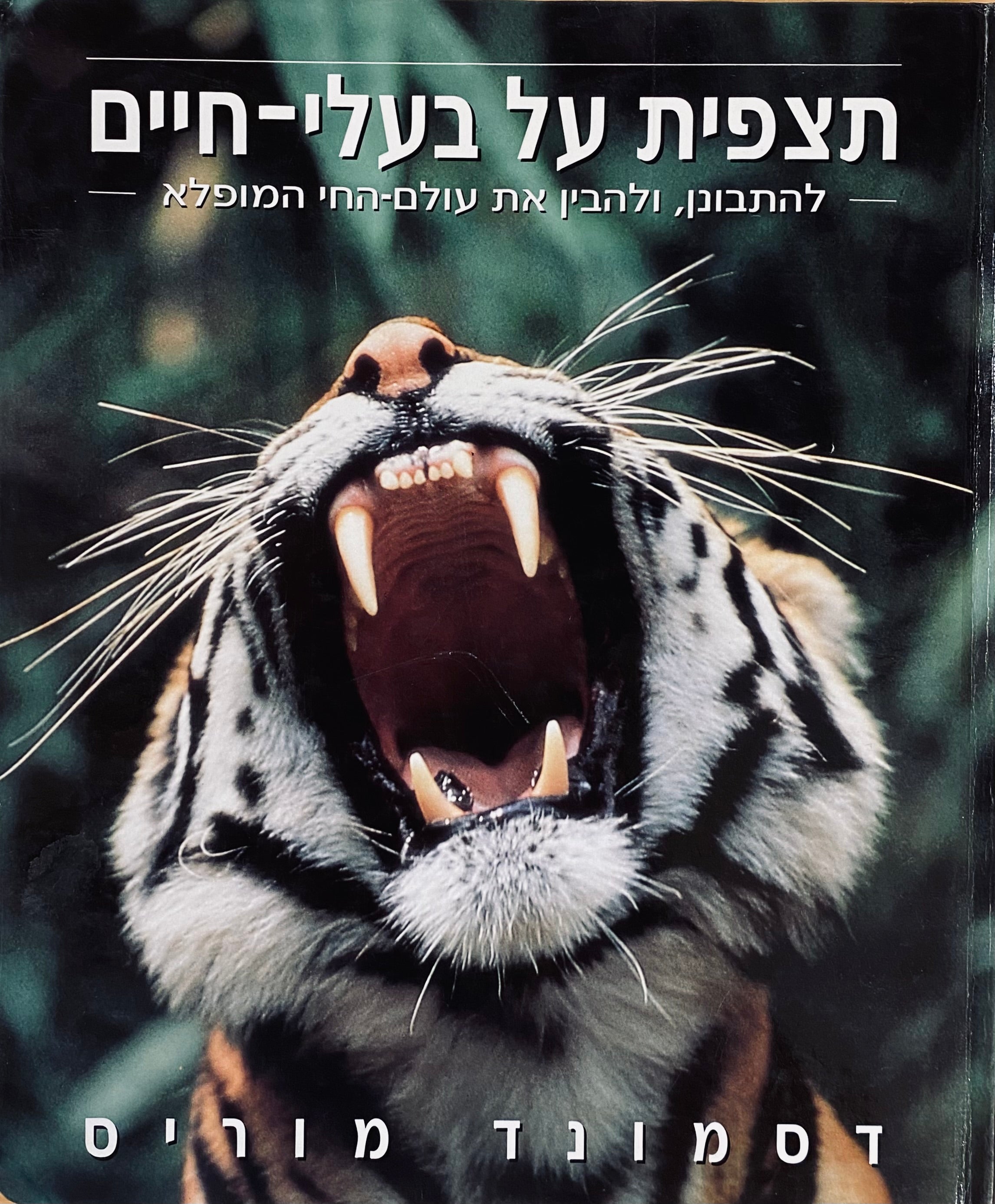 תצפית על בעלי-חיים / להתבונן, ולהבין את עולם-החי המופלא