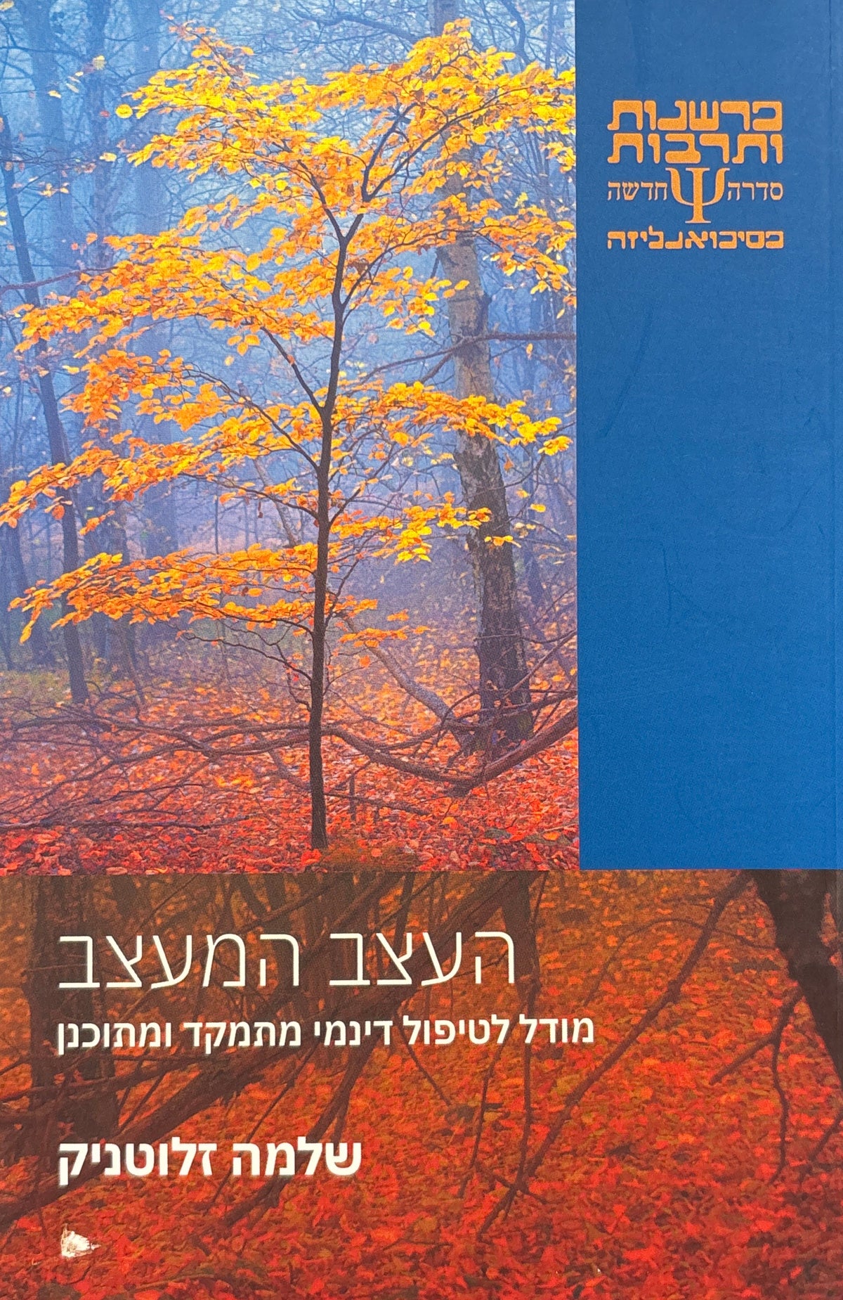העצב המעצב / מודל לטיפול דינמי מתמקד ומתוכנן