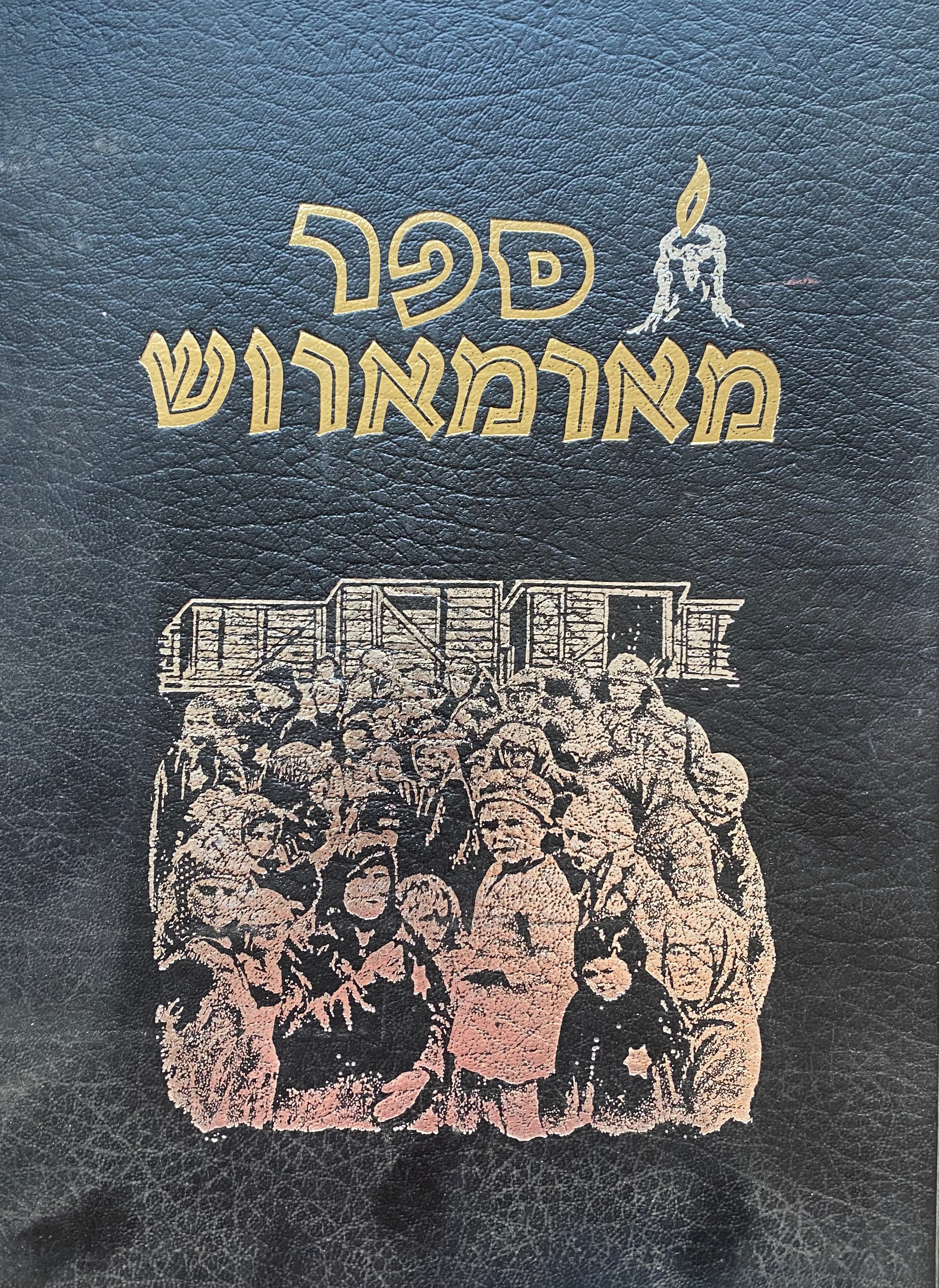 ספר מארמארוש/ מאה וששים קהילות קדושות ביישובן ובחורבנן
