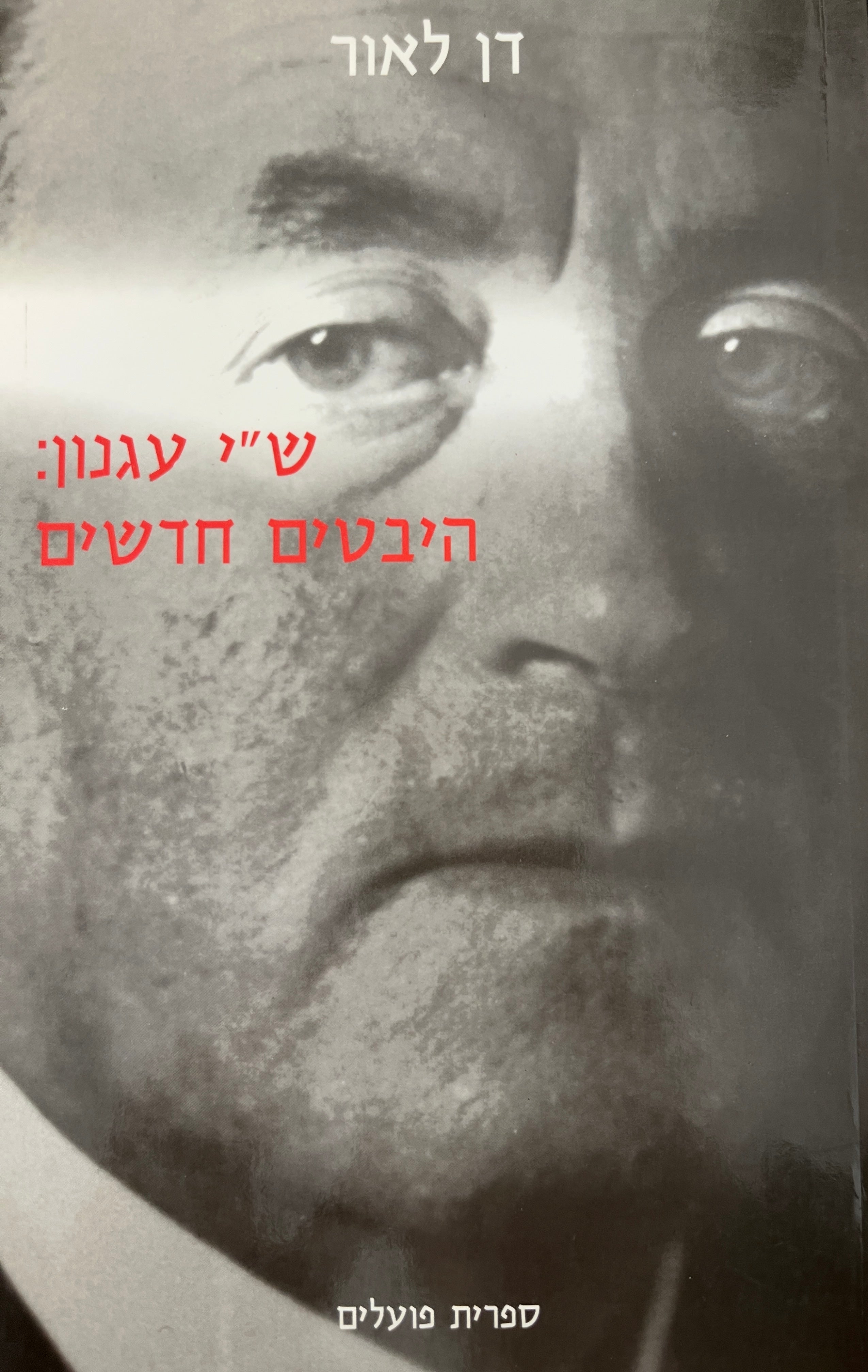 ש"י עגנון: היבטים חדשים