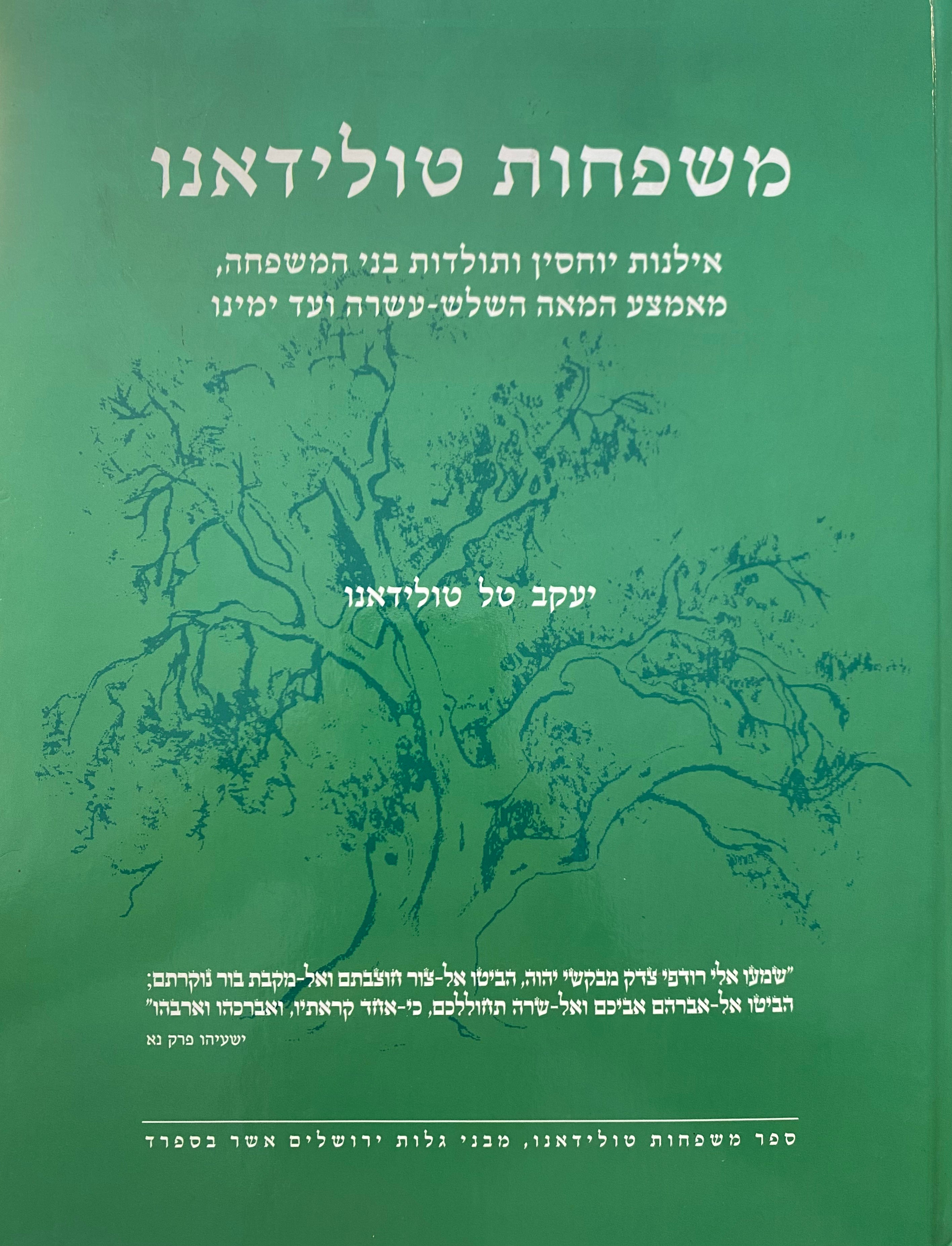 משפחות טולידאנו / אילנות יוחסין ותולדות בני המשפחה, מאצמע המאה השלש עשרה ועד ימינו