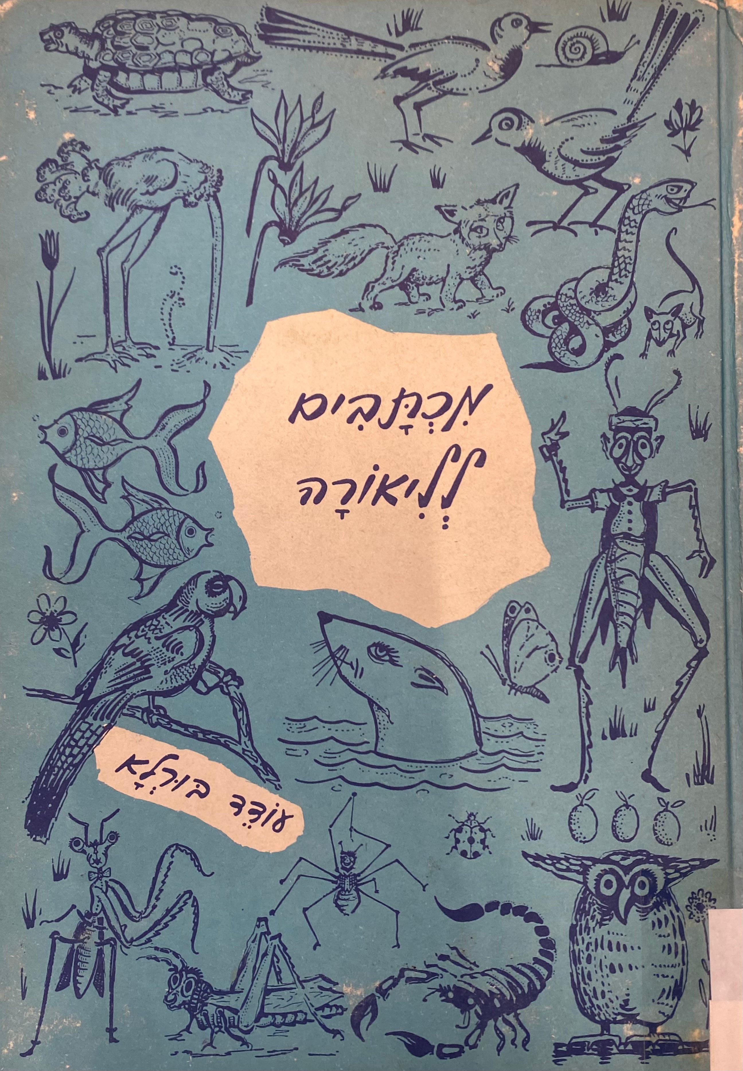 מכתבים לליאורה / רישומים מאת המחבר