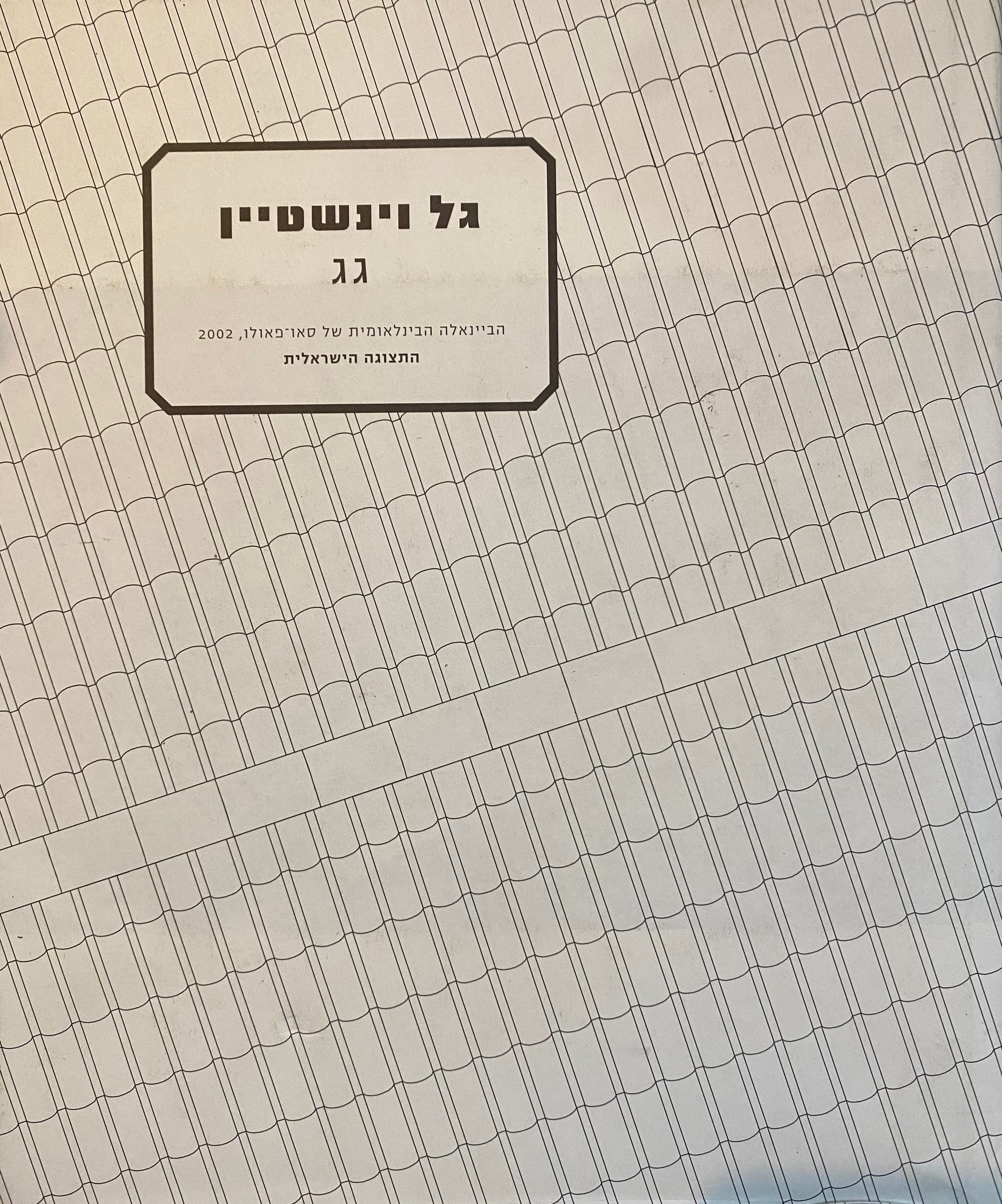 גל ויינשטיין: גג / הבייאנלה הבינלאומית של סאו פאולו, 2002