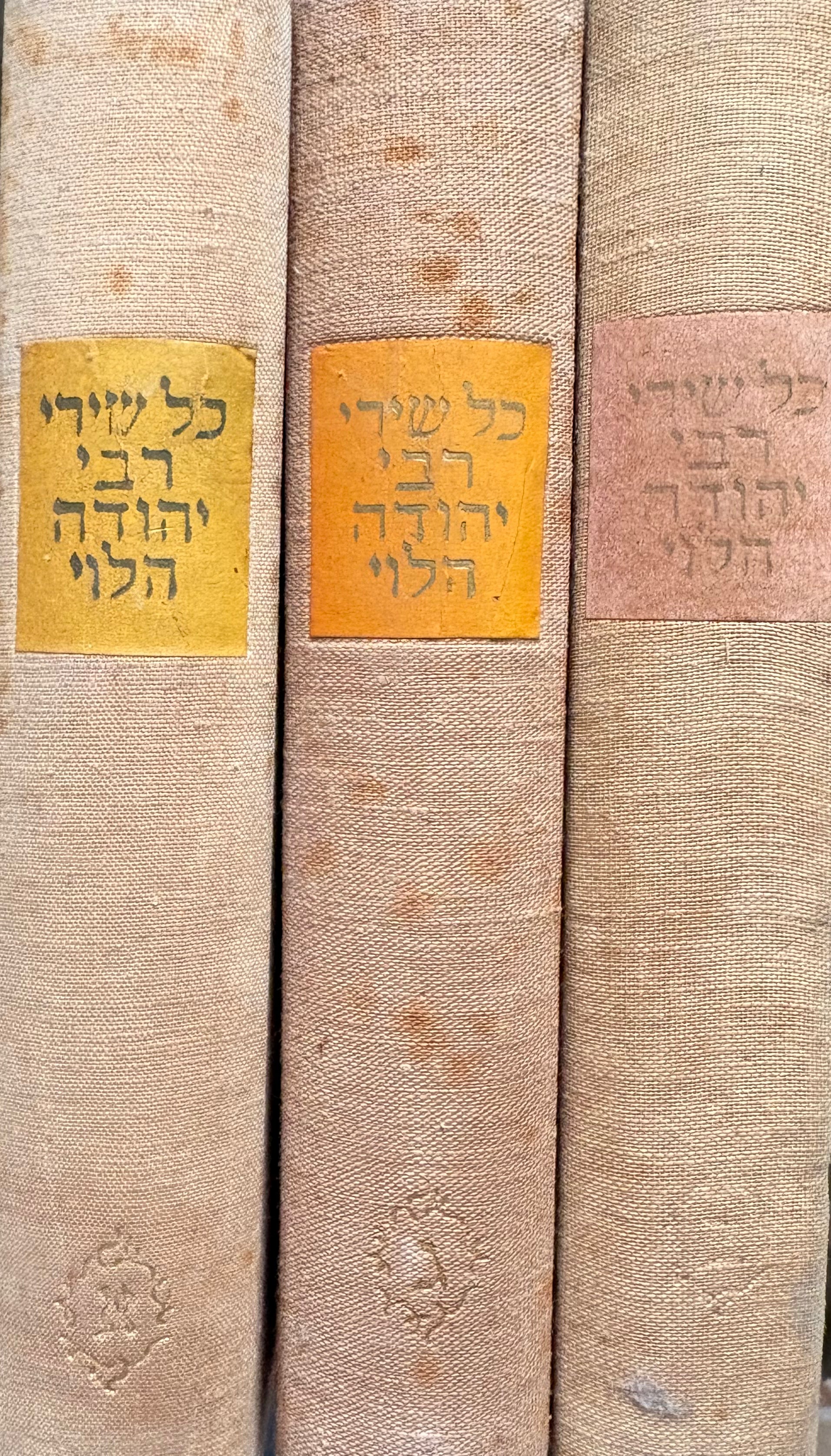 כל שירי רבי יהודה הלוי בעשרה ספרים / מהדורת ישראל זמורה בשלושה כרכים