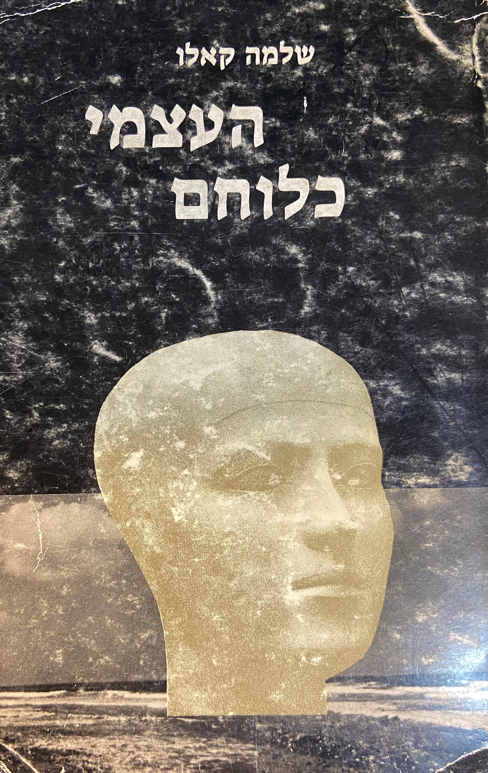 העצמי כלוחם
