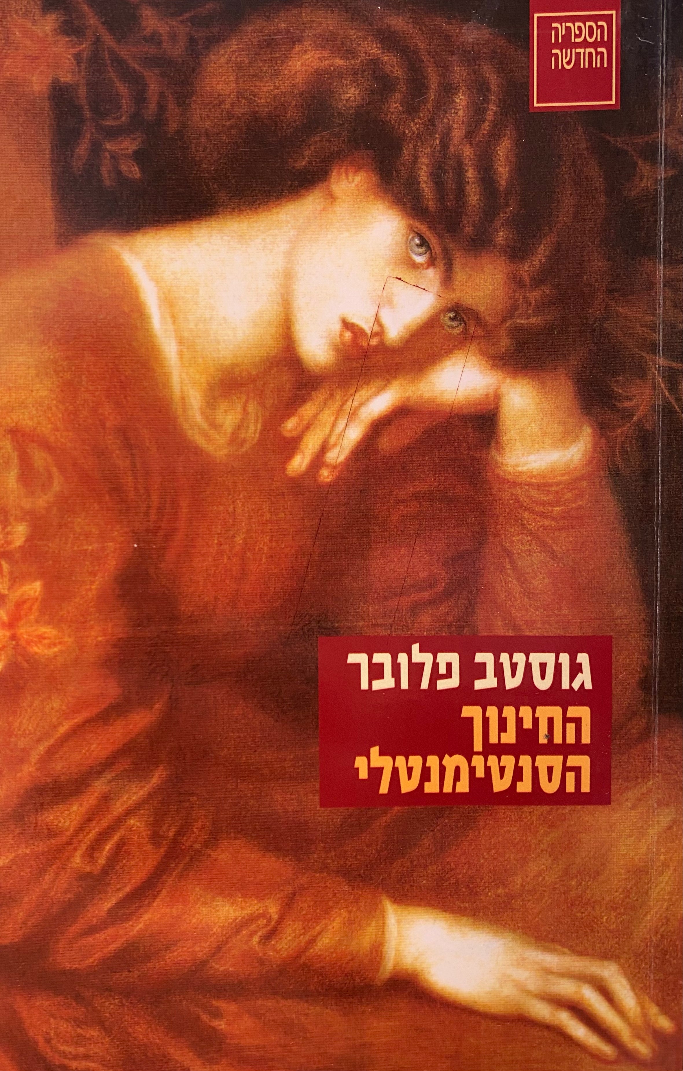 החינוך הסנטימנטלי / תרגום משה רון