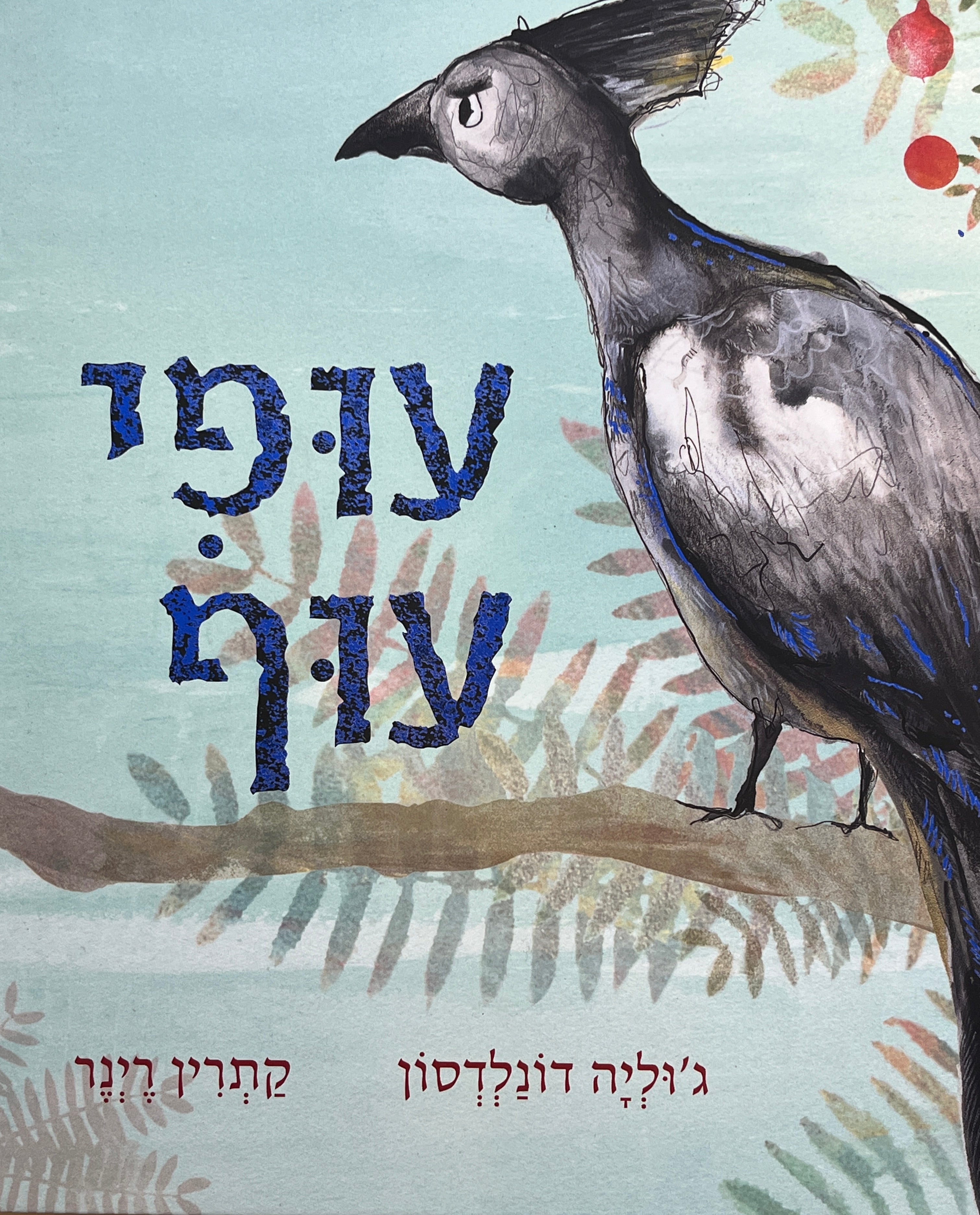 עופי עוף