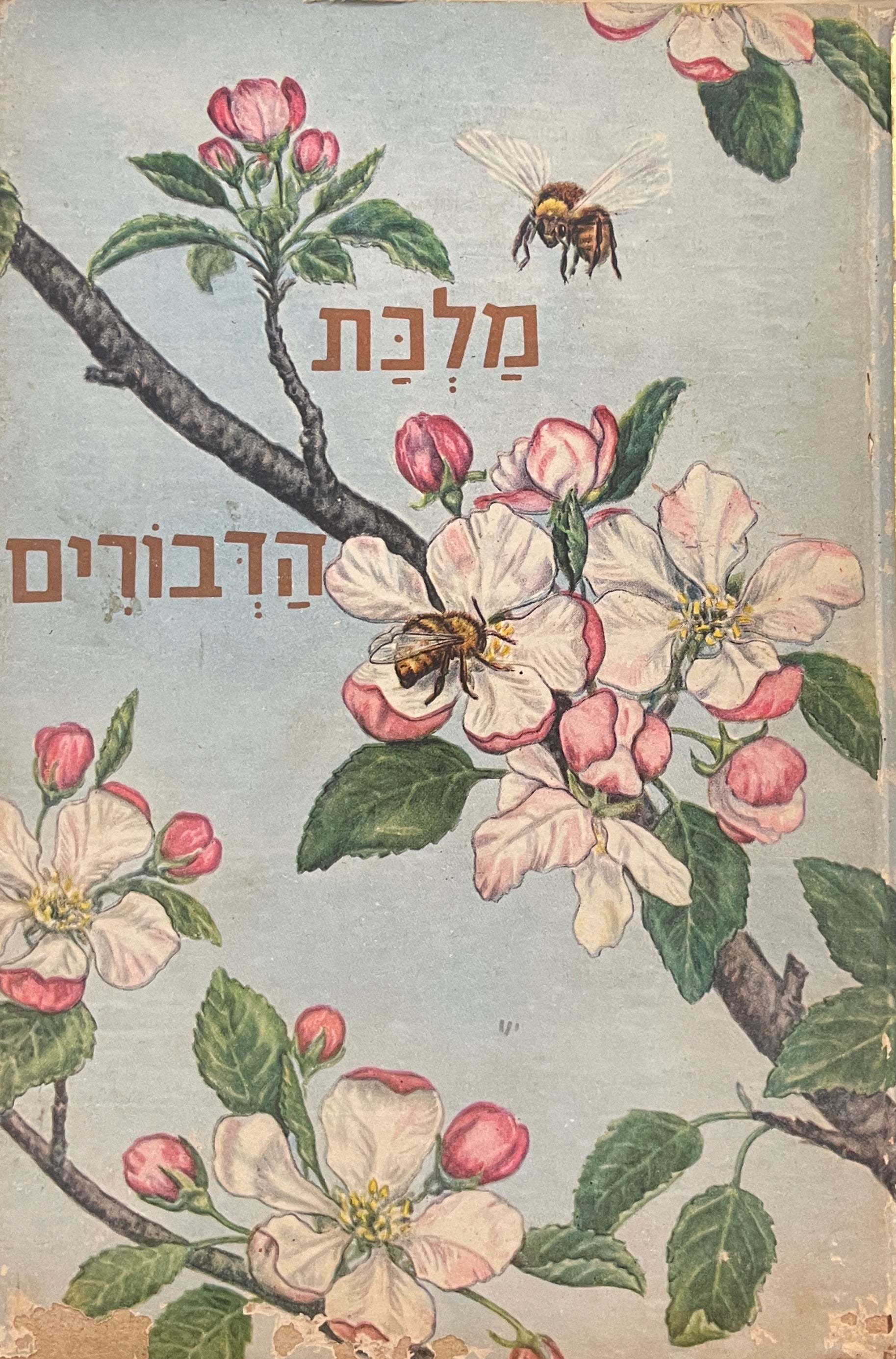 מלכת הדבורים