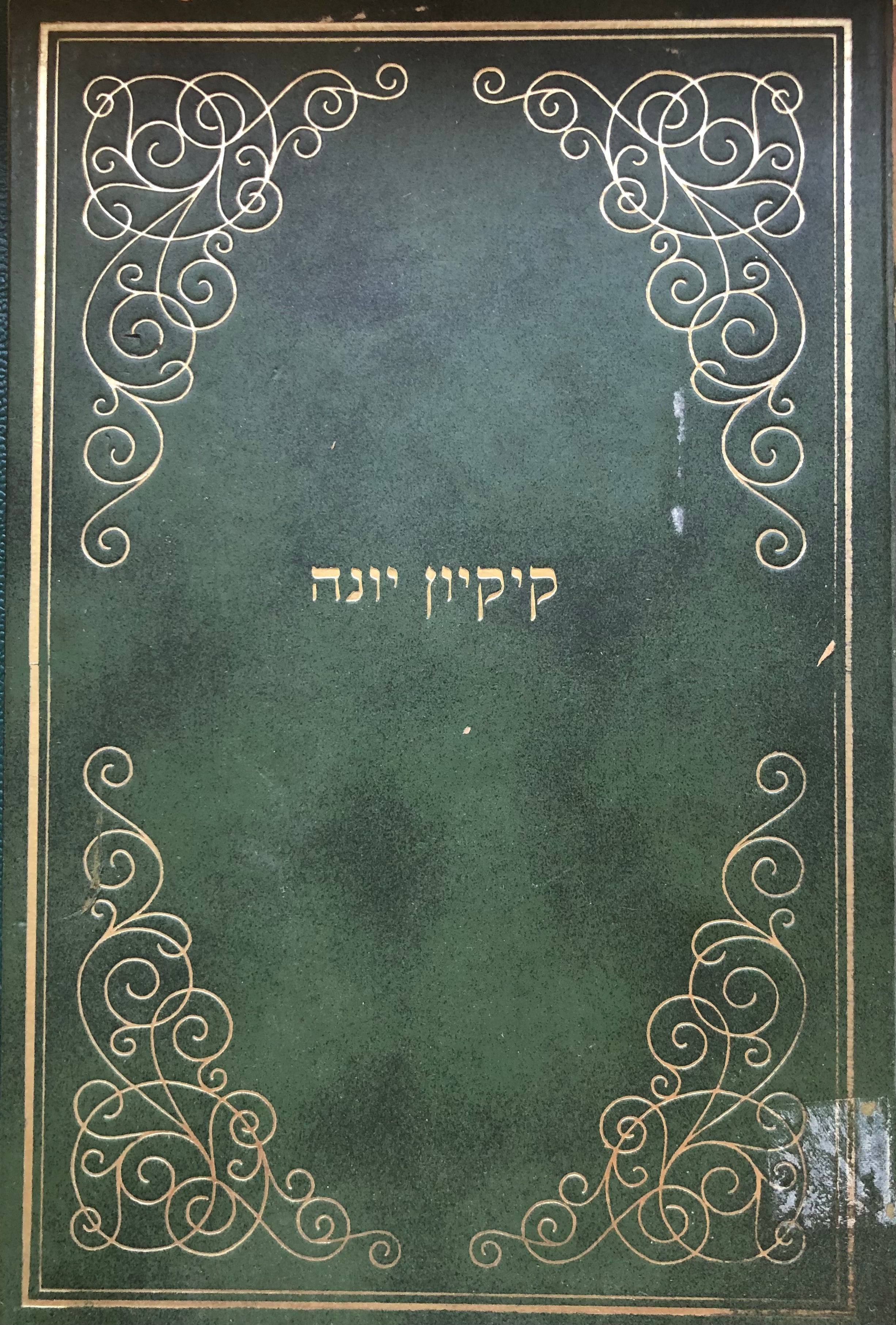 קיקיון יונה / דפוס צילום של פריס תר"ך