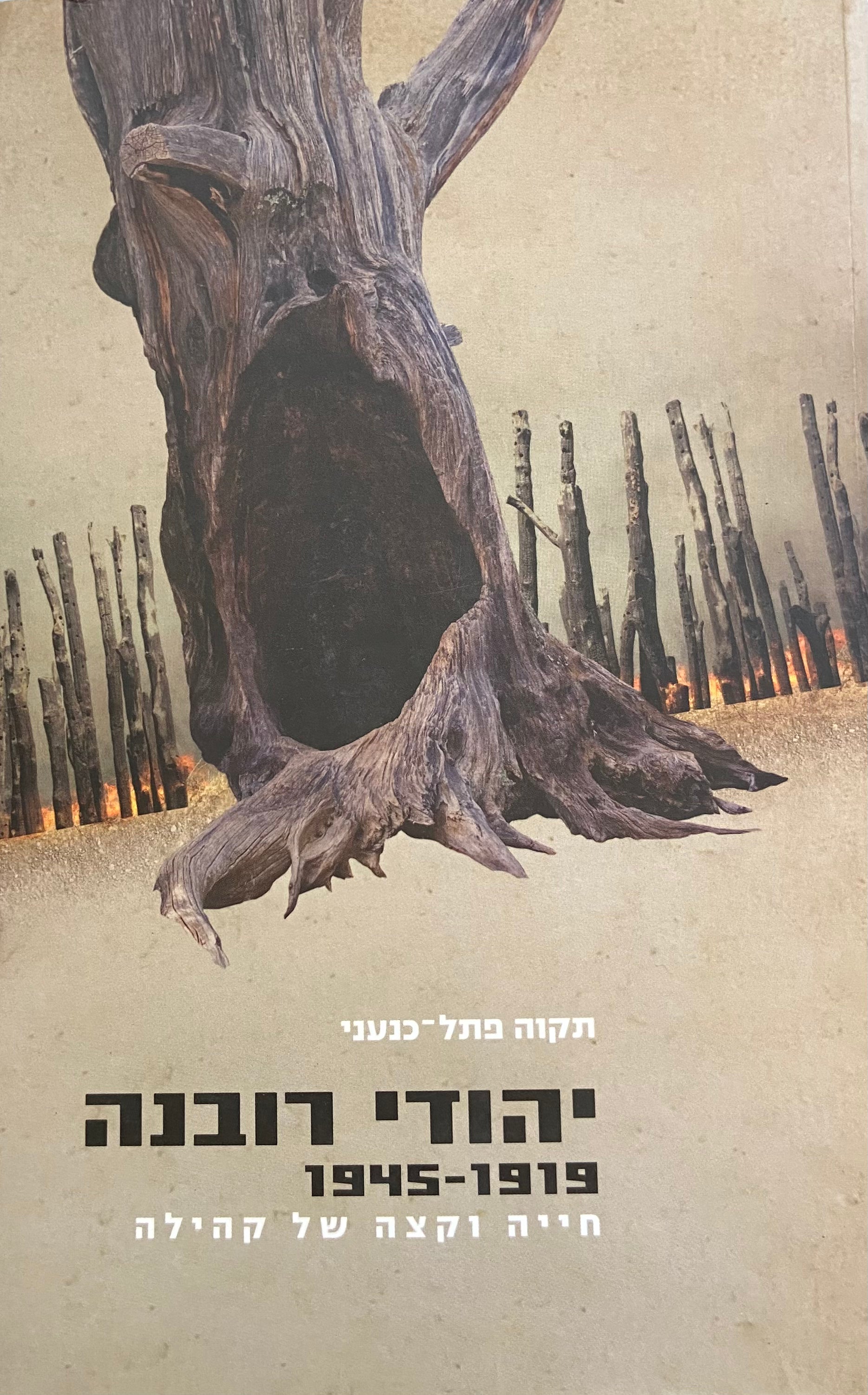 יהודי רובנה 1945-1919 / חייה וקצה של קהילה