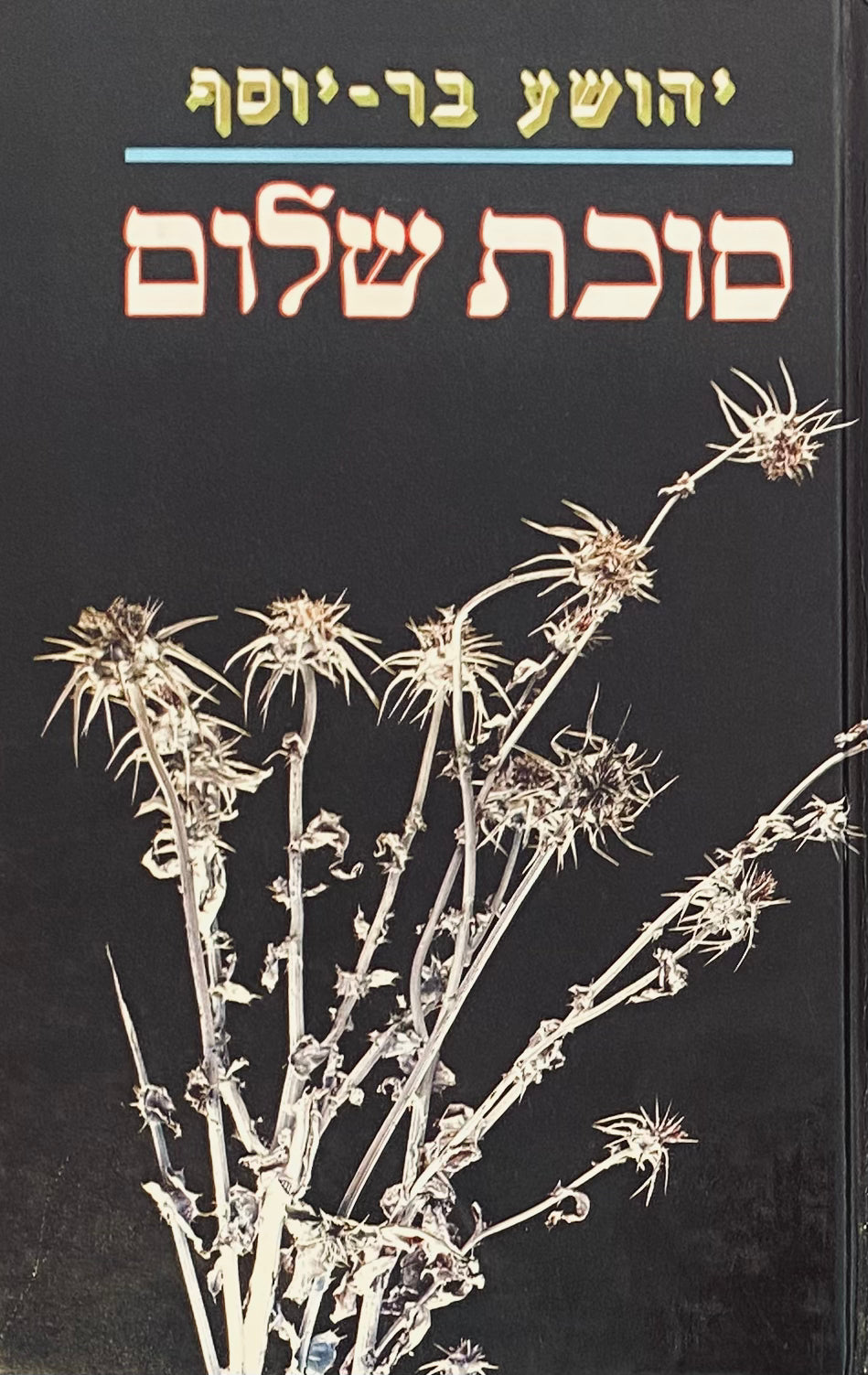 סוכת שלום