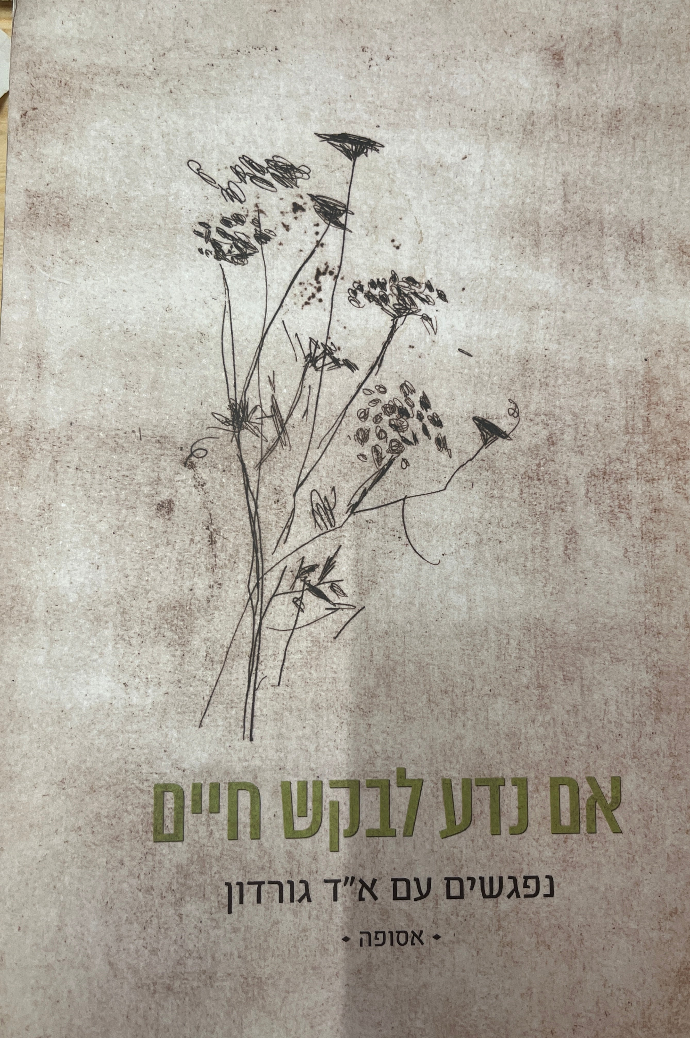 אם נדע לבקש חיים / נפגשים עם א"ד גורדון