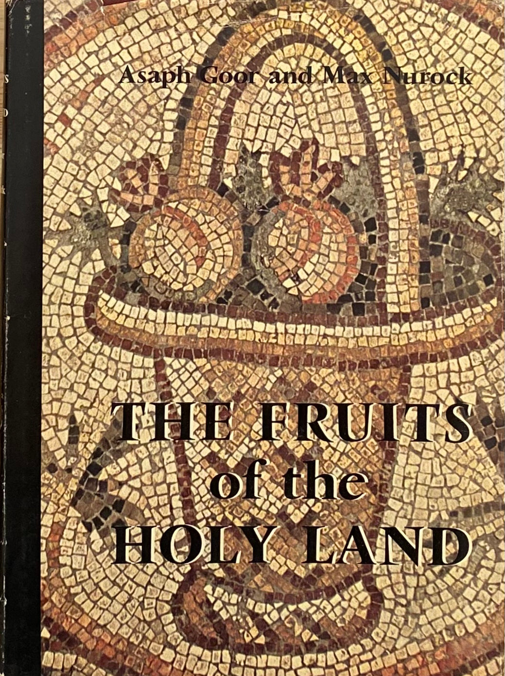 The Fruits of the Holy Land / by Asaph Goor and Max Nurock