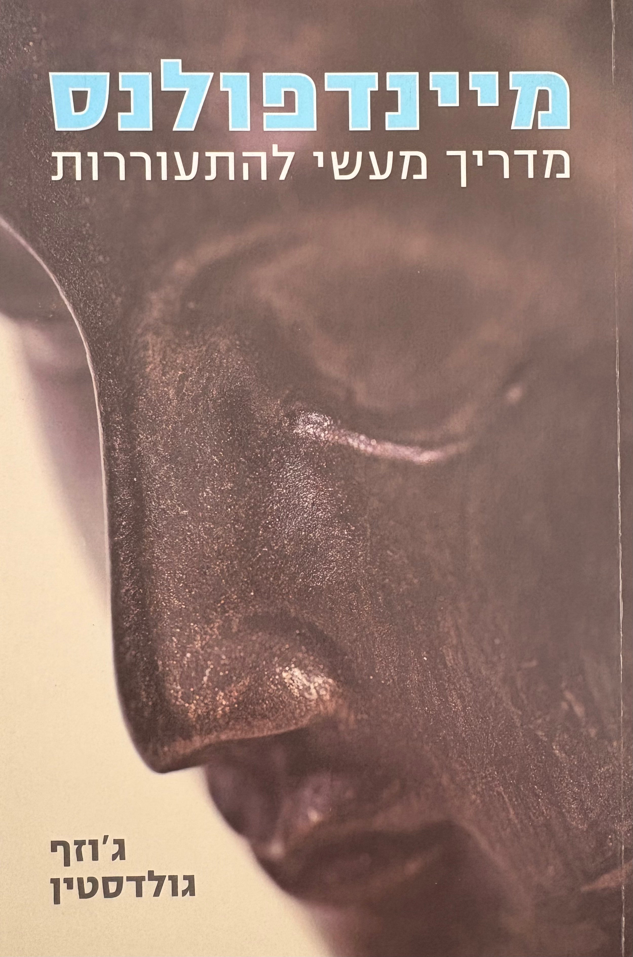 מיינדפולנס: מדריך מעשי להתעוררות