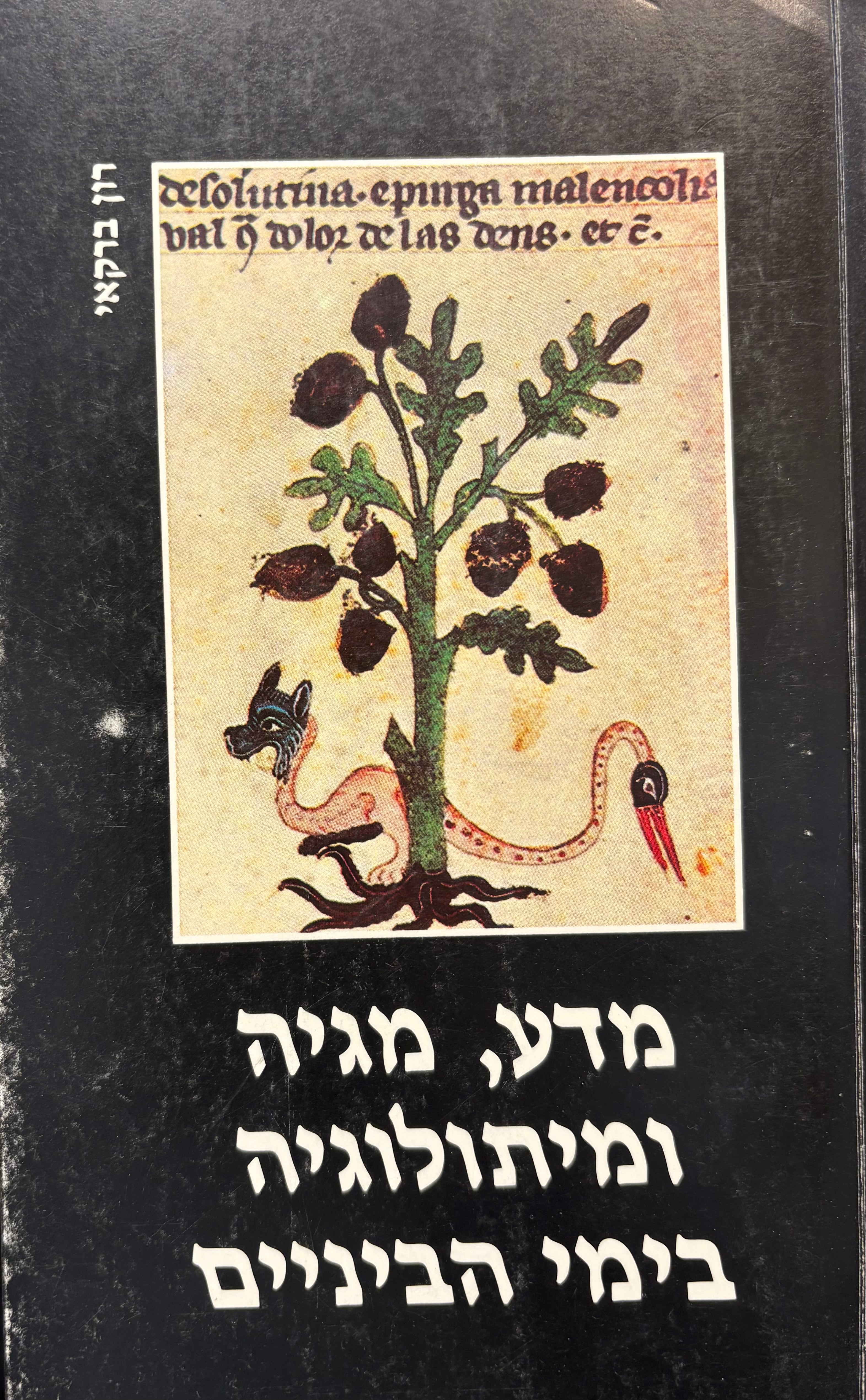 מדע מגיה ומיתולוגיה בימי הביניים