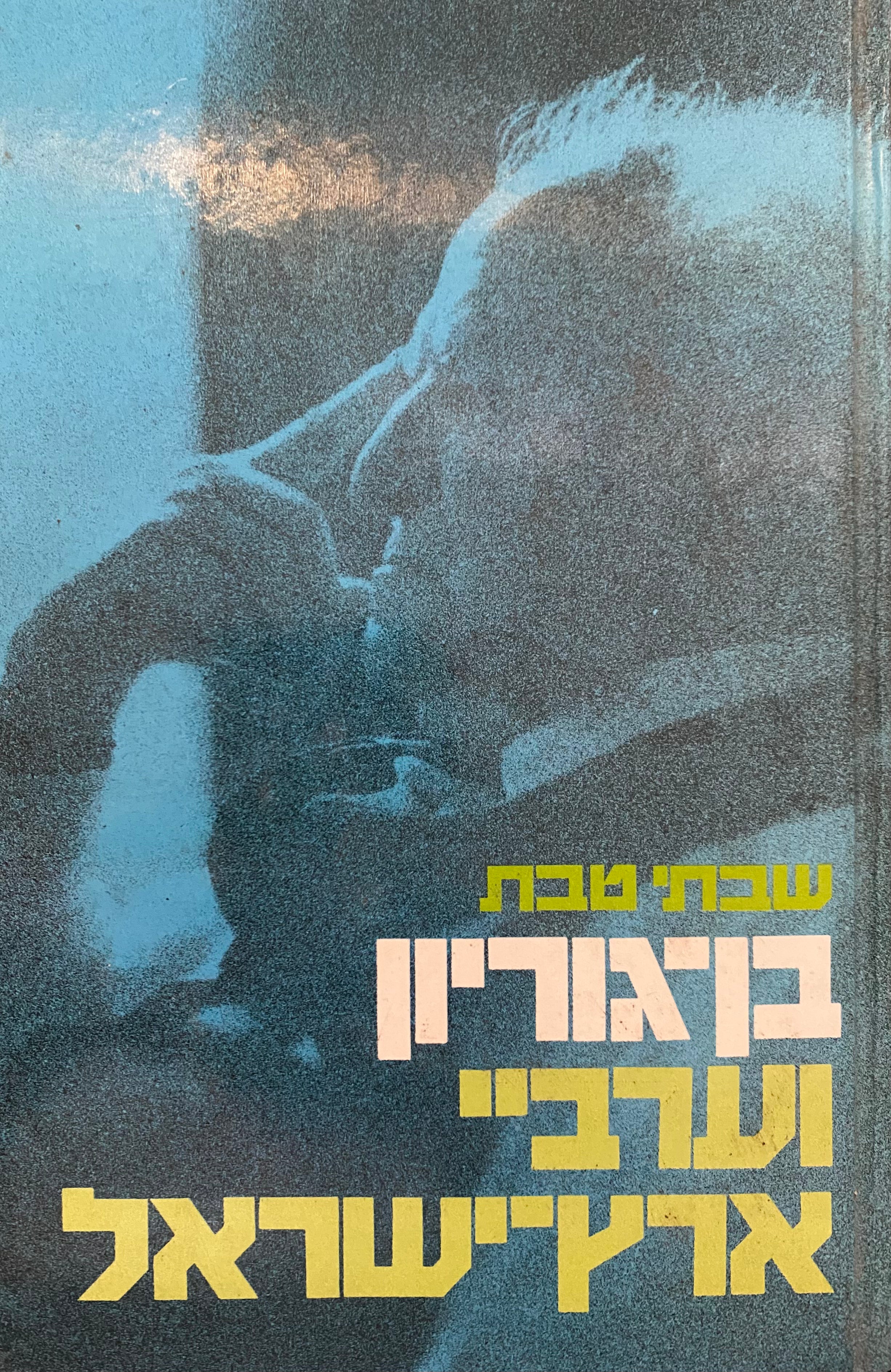 בן גוריון וערביי ארץ ישראל/ מהשלמה למלחמה