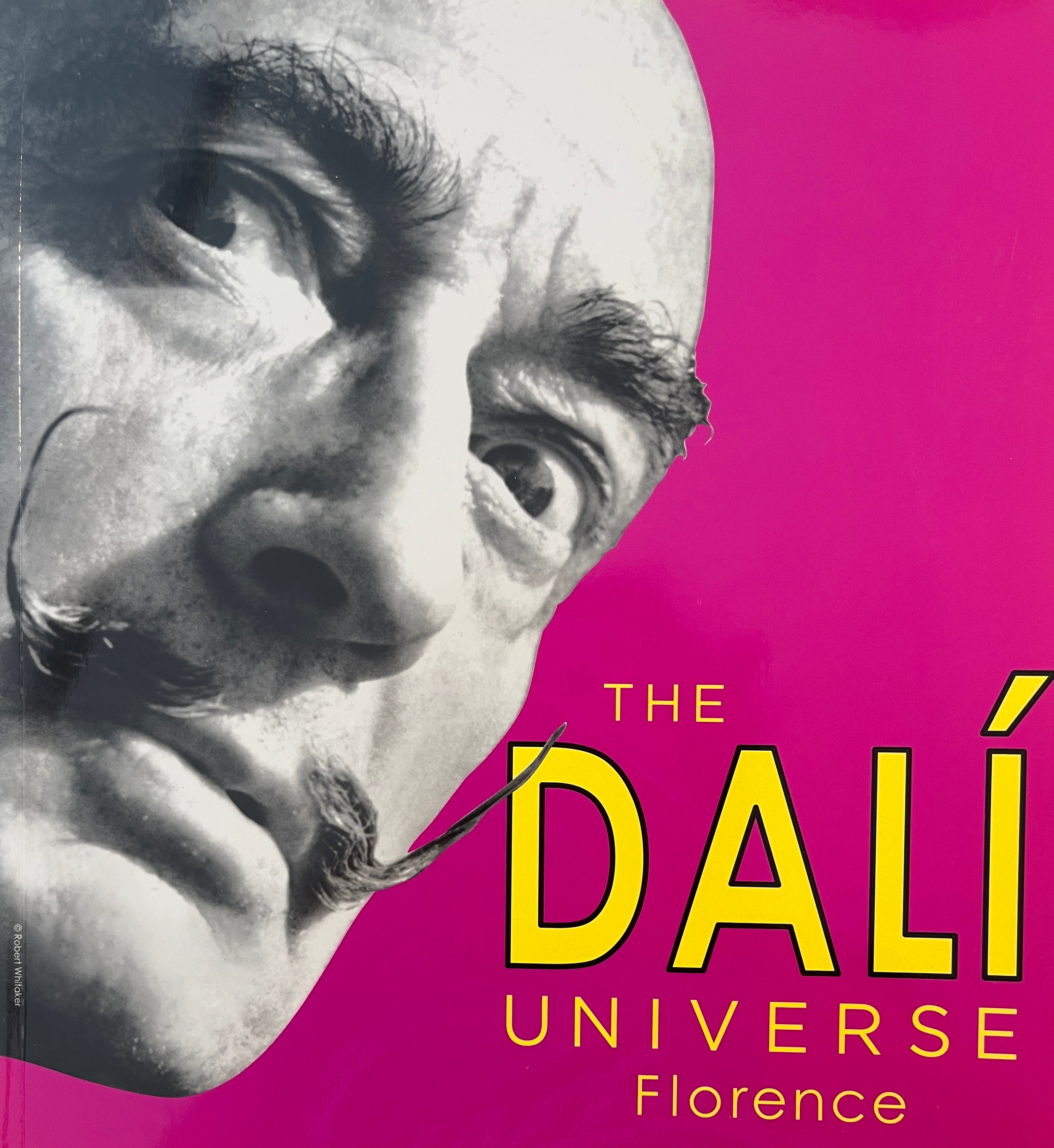 THE DALI UNIVERSE / Florence