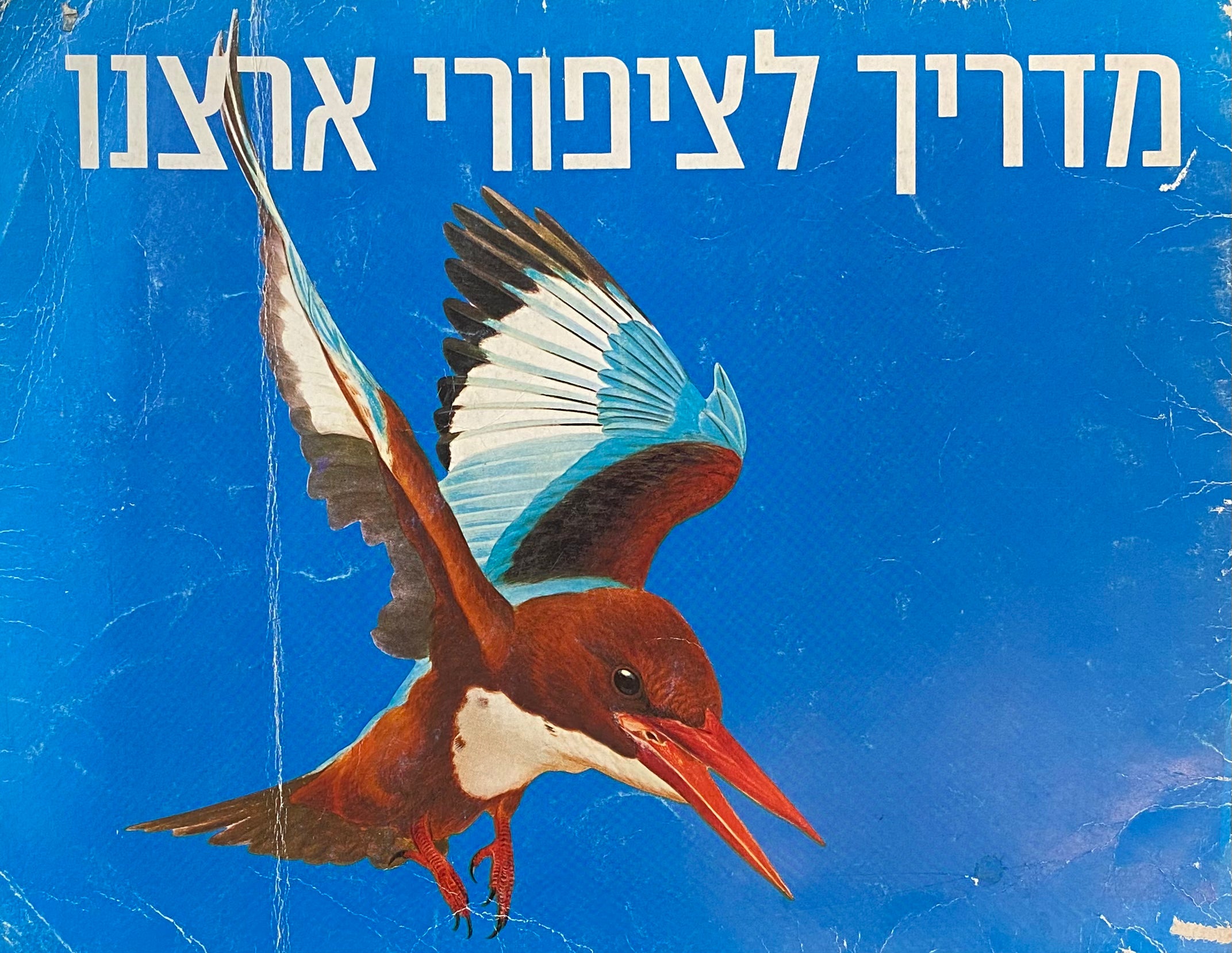 מדריך לציפורי ארצנו