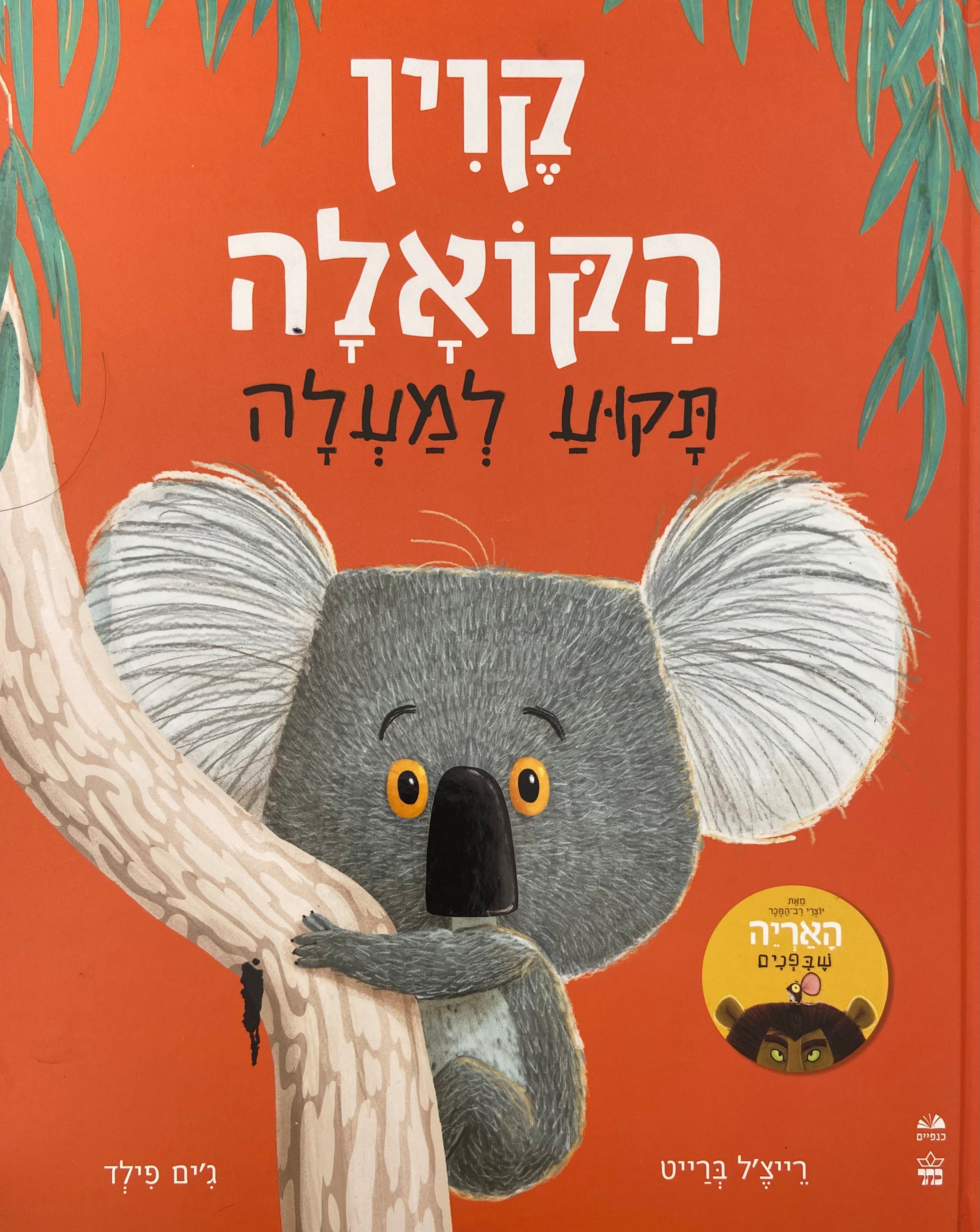 קוין הקואלה תקוע למעלה