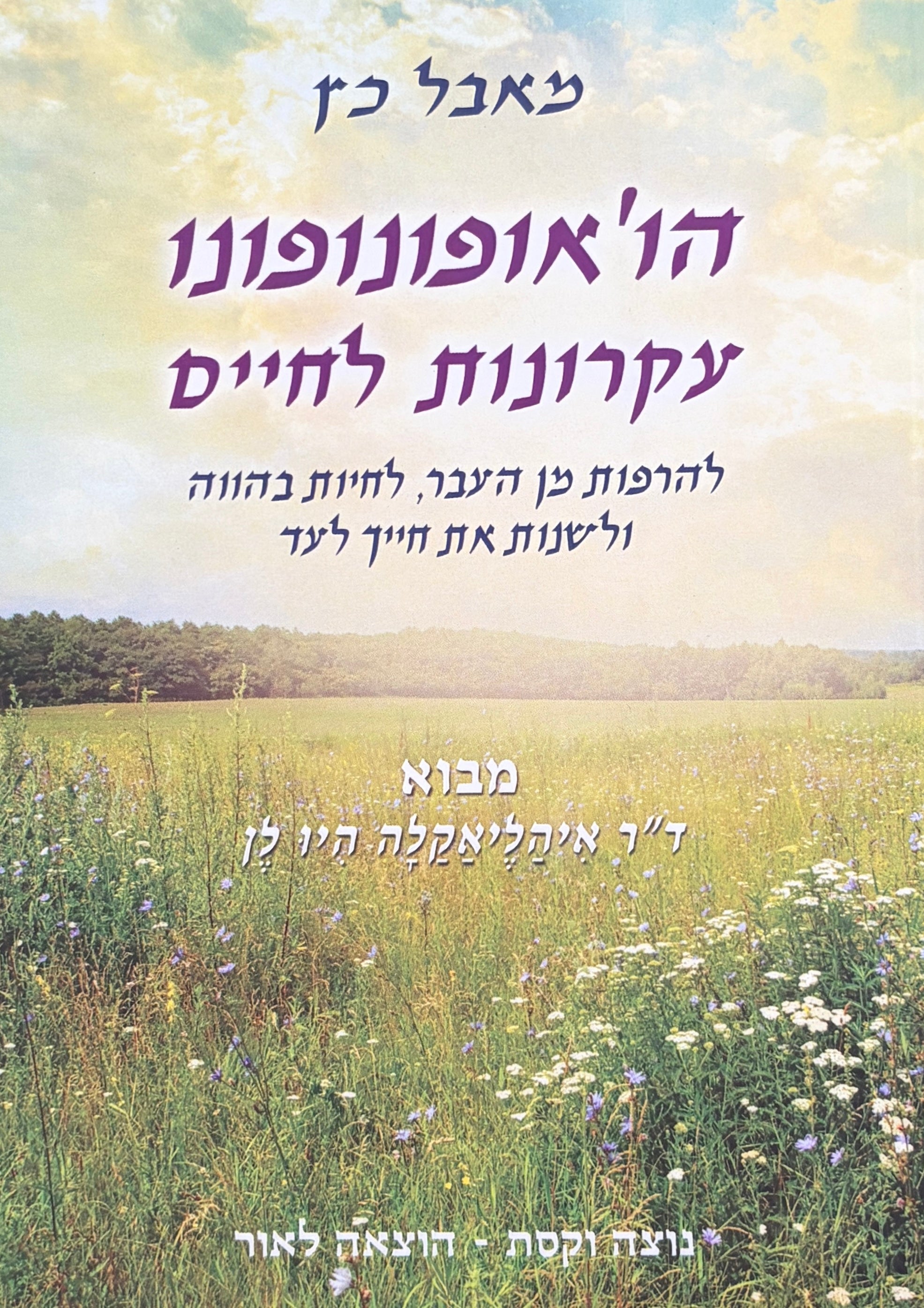 הו'אופונופונו / עקרונות לחיים