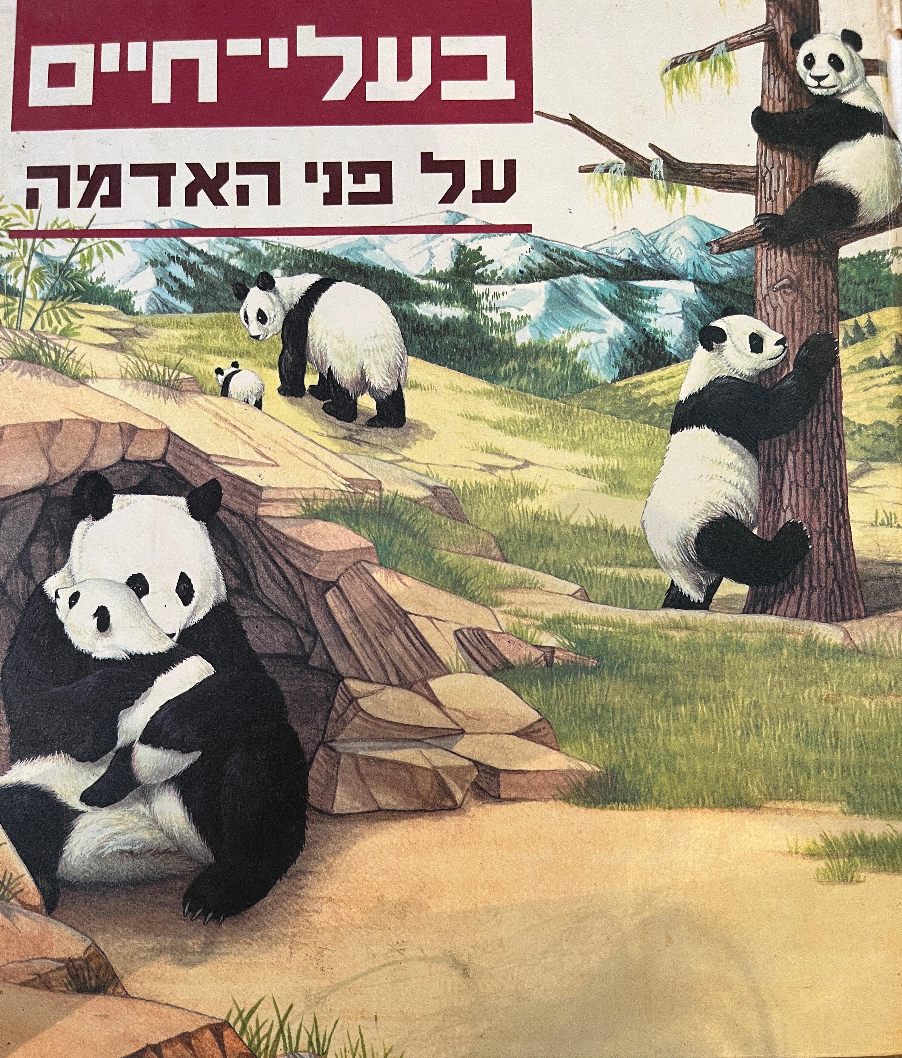 בעלי חיים על פני האדמה