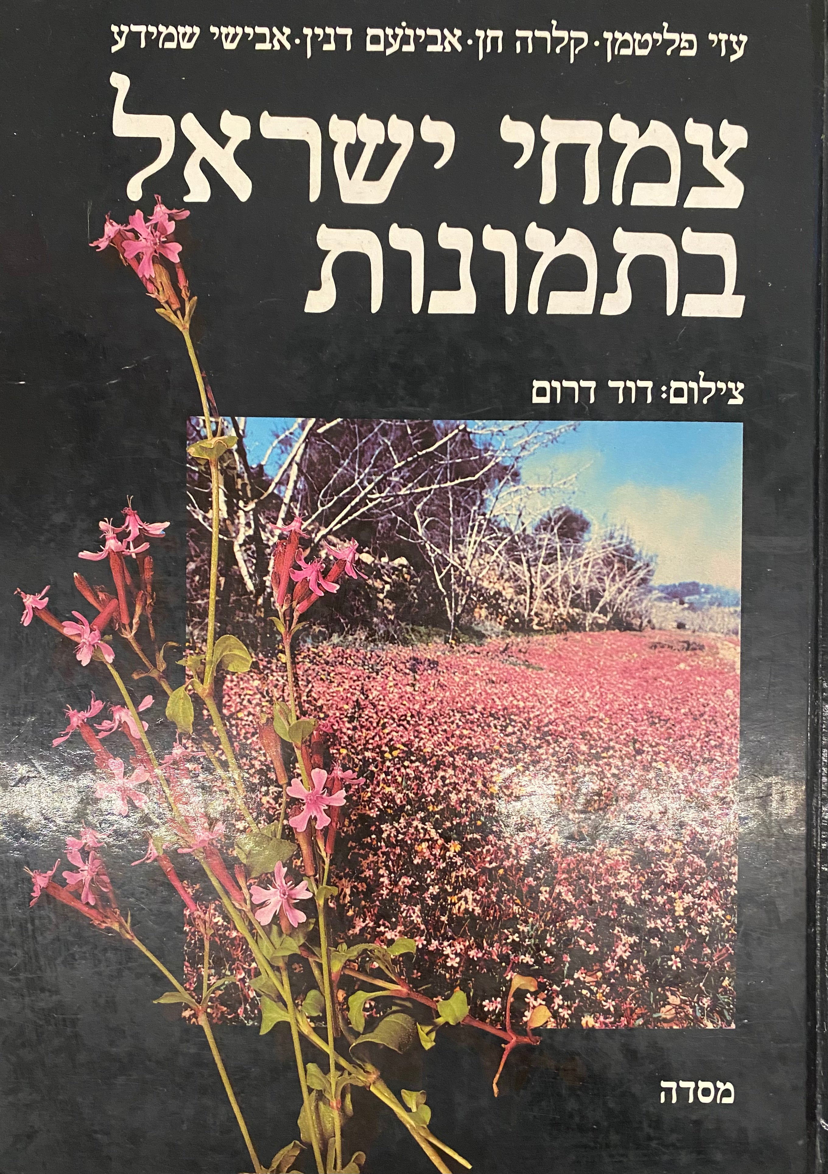 צמחי ישראל בתמונות / צילום: דוד דרום