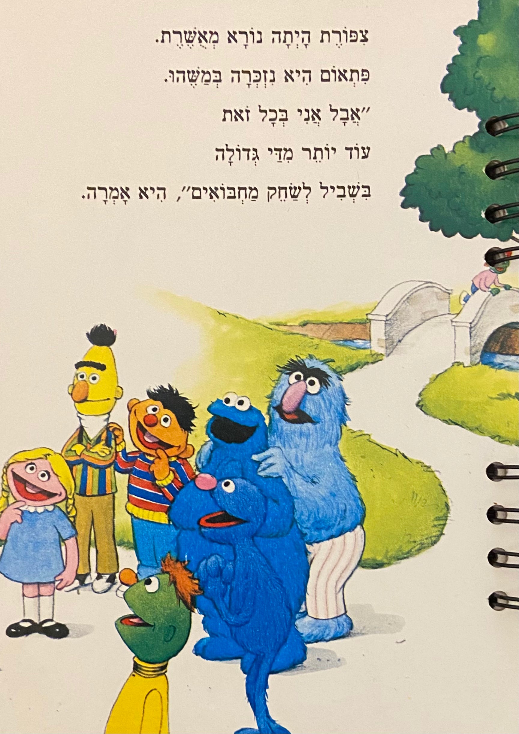 מחברת ספירלה בעבודת יד: דפי נקודות / המחברות של מעיין: 1#