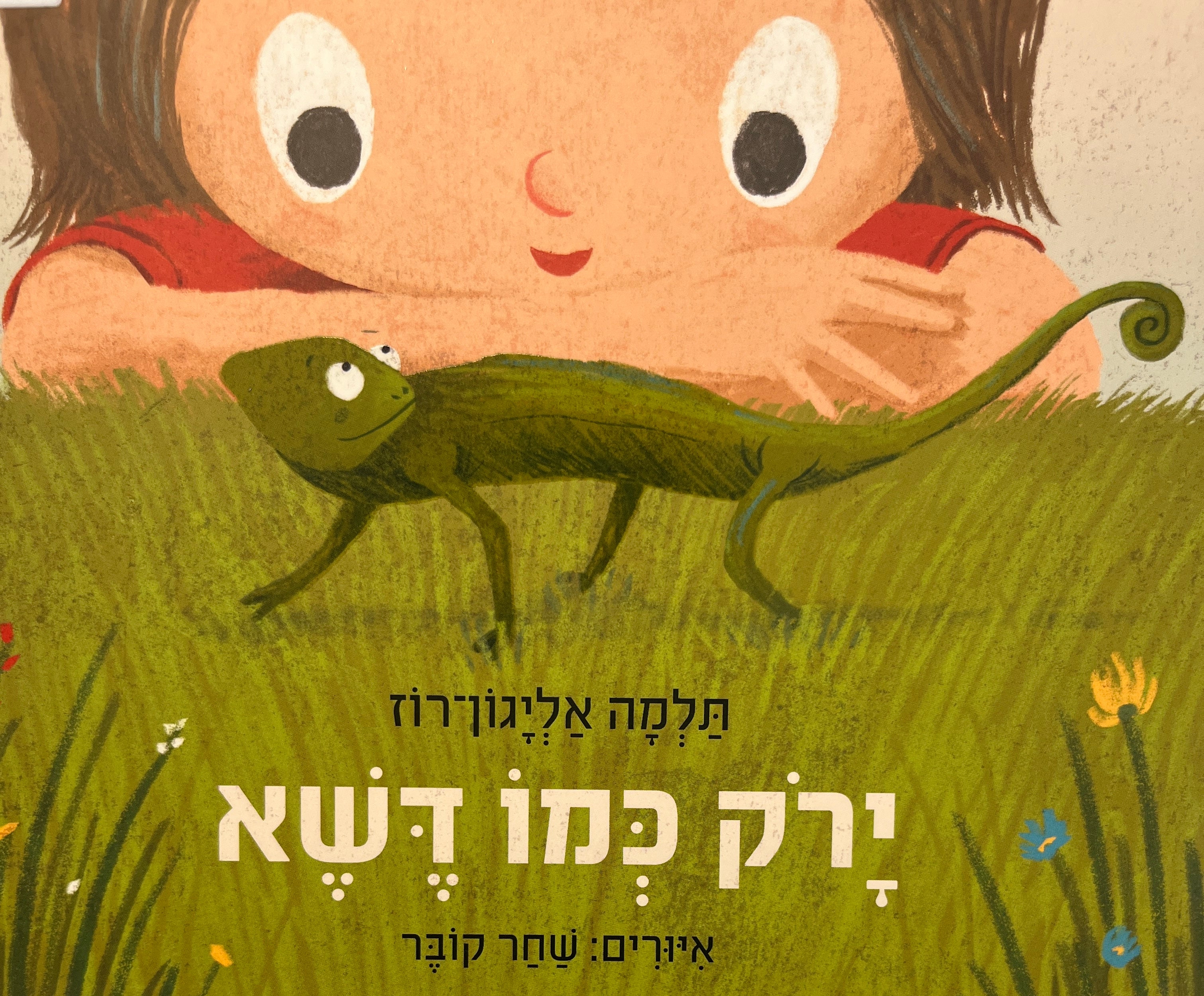 ירק כמו דשא / דפי קרטון