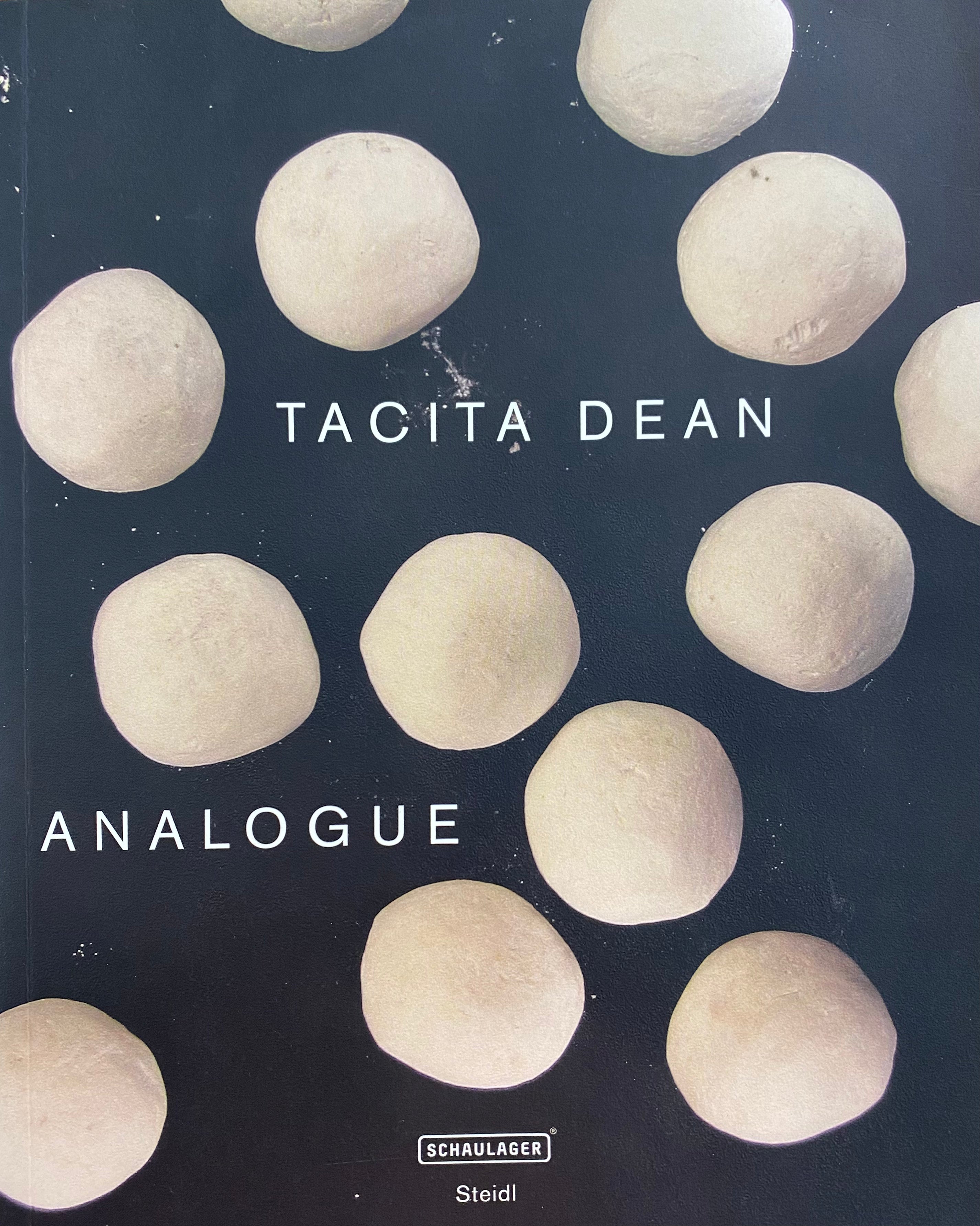 Tacita Dean/ Analogue