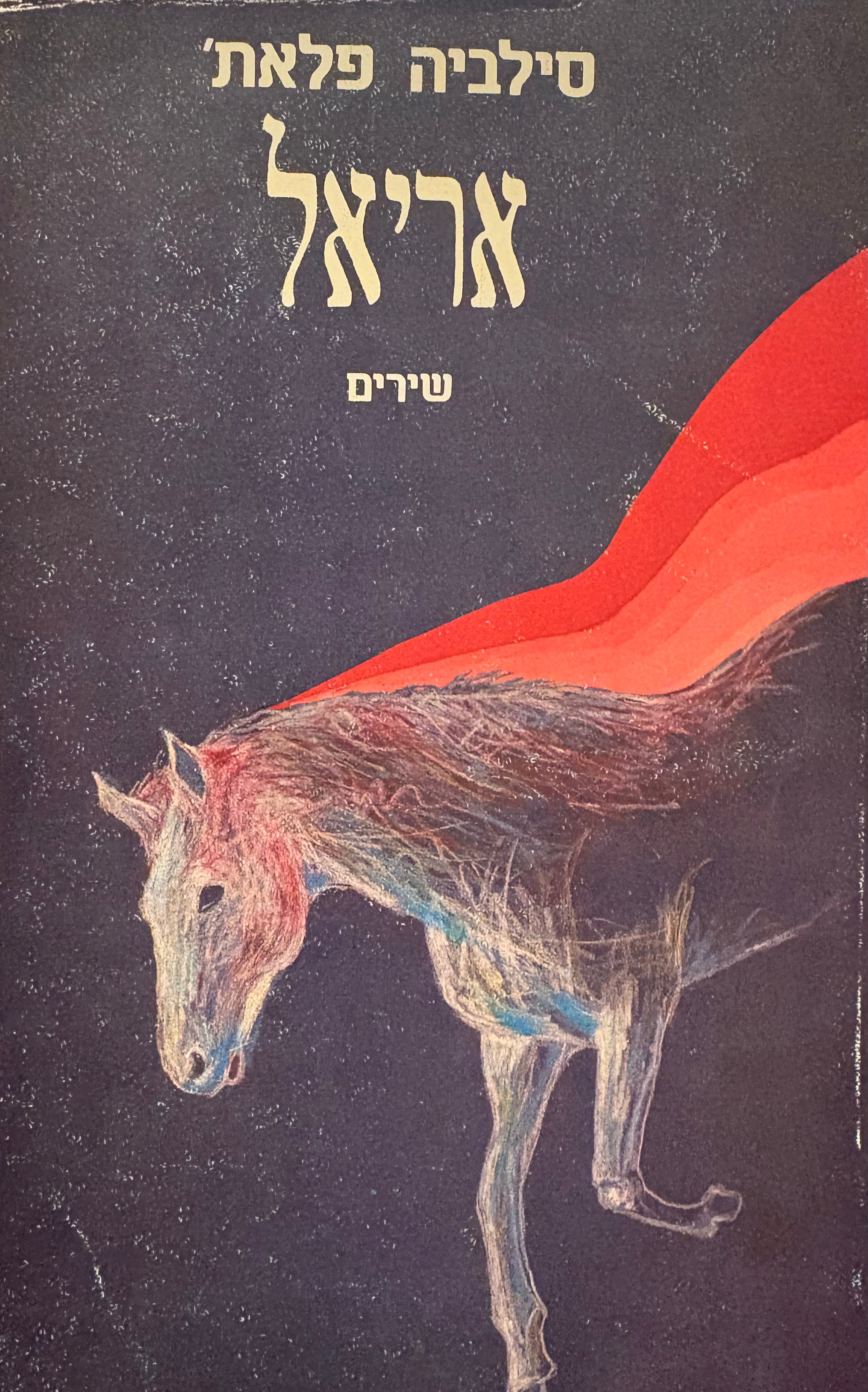 אריאל