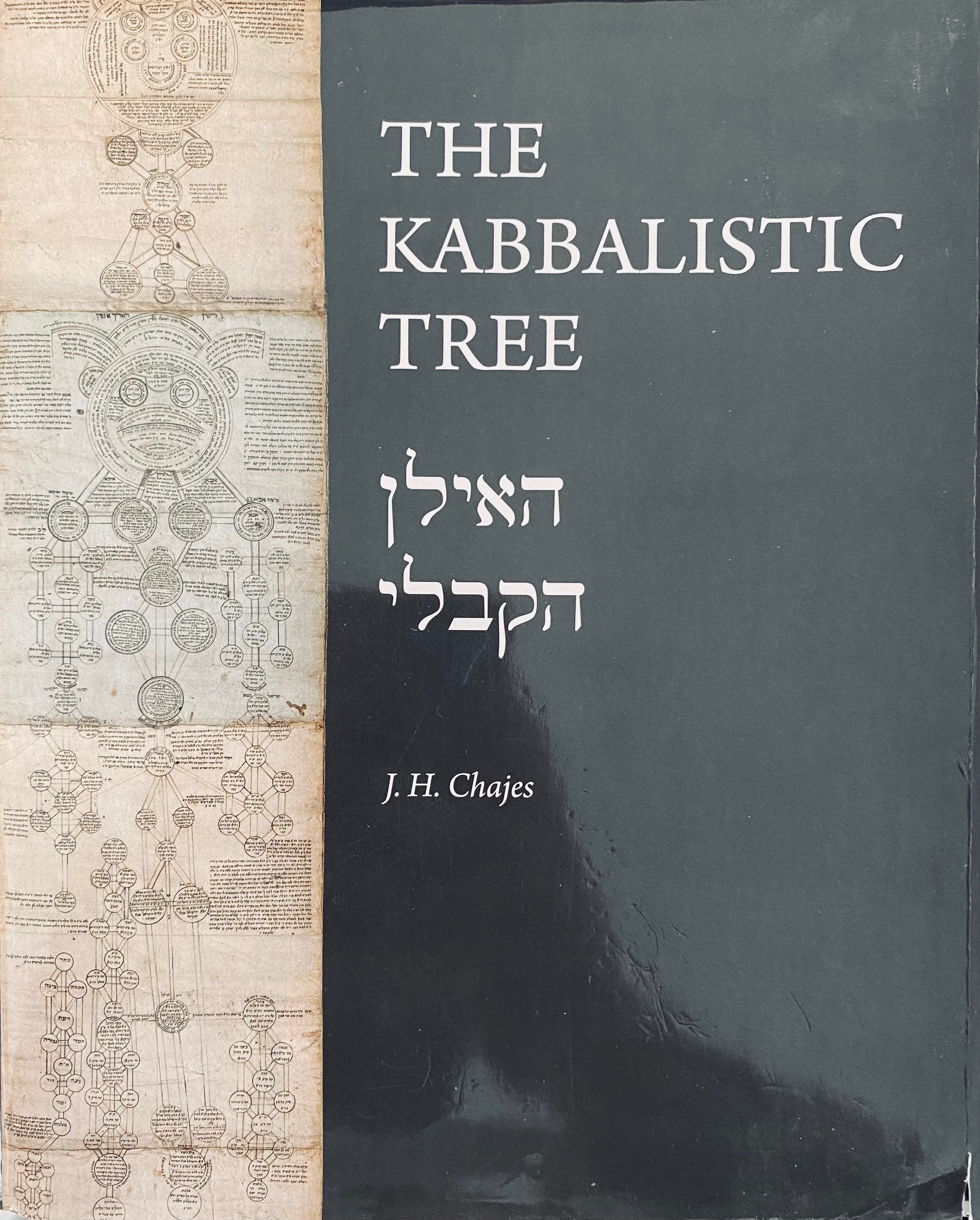 The Kabbalistic Tree / האילן הקבלי