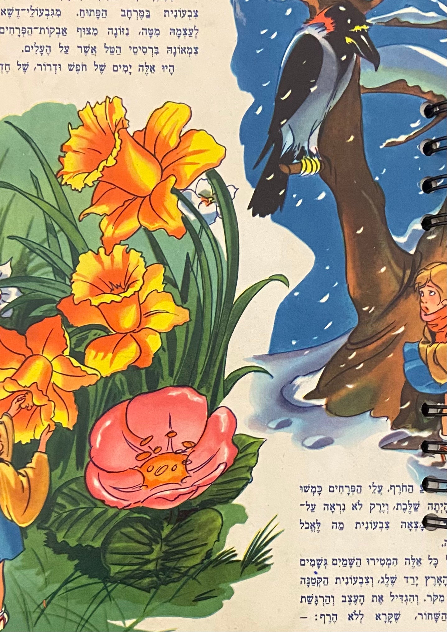מחברת ספירלה בעבודת יד: דפי נקודות / המחברות של מעיין: 8#