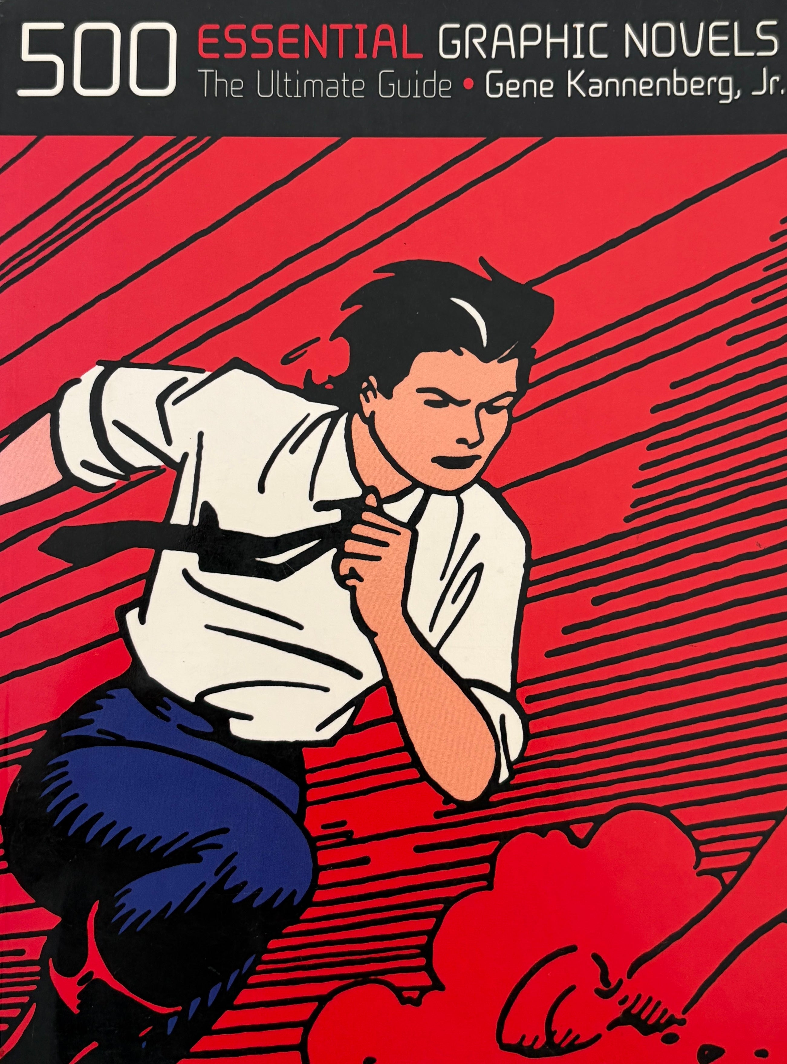 500 Essential Graphic Novels / The Ultimate Guide
