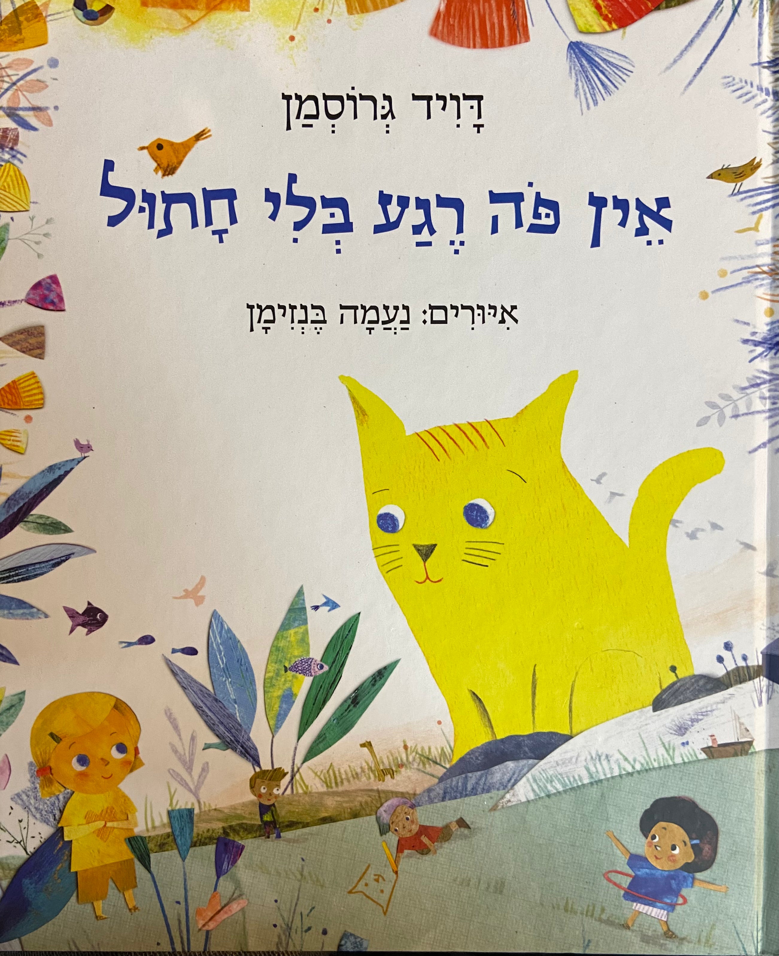 אין פה רגע בלי חתול