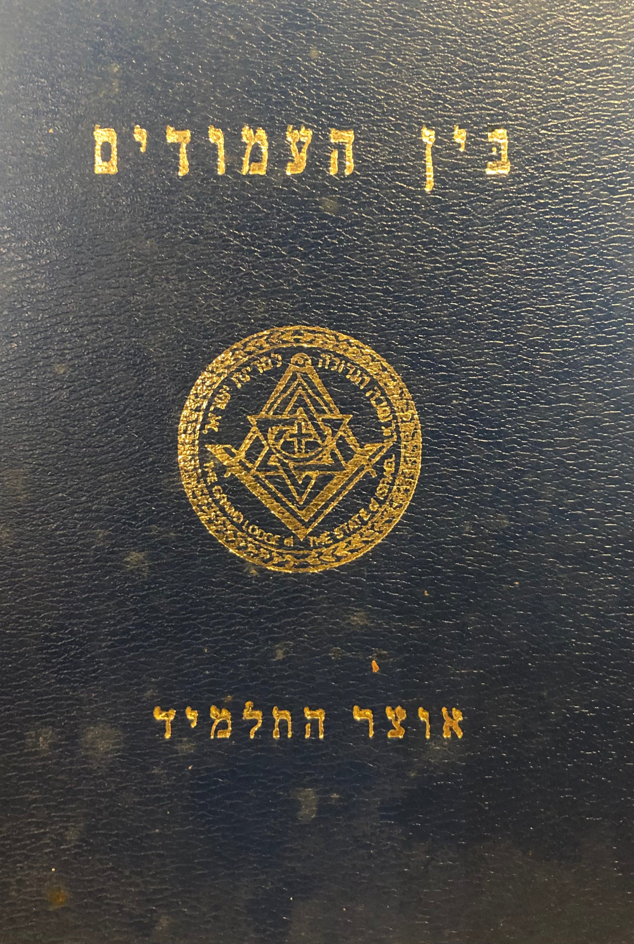 בין העמודים / אוצר התלמיד / ספר עזר ומוניטור מצויר ללימוד הבניה החפשית / כרך א'